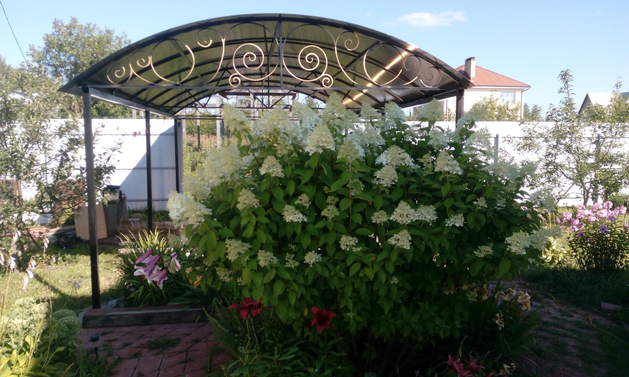 Фото Дистанция