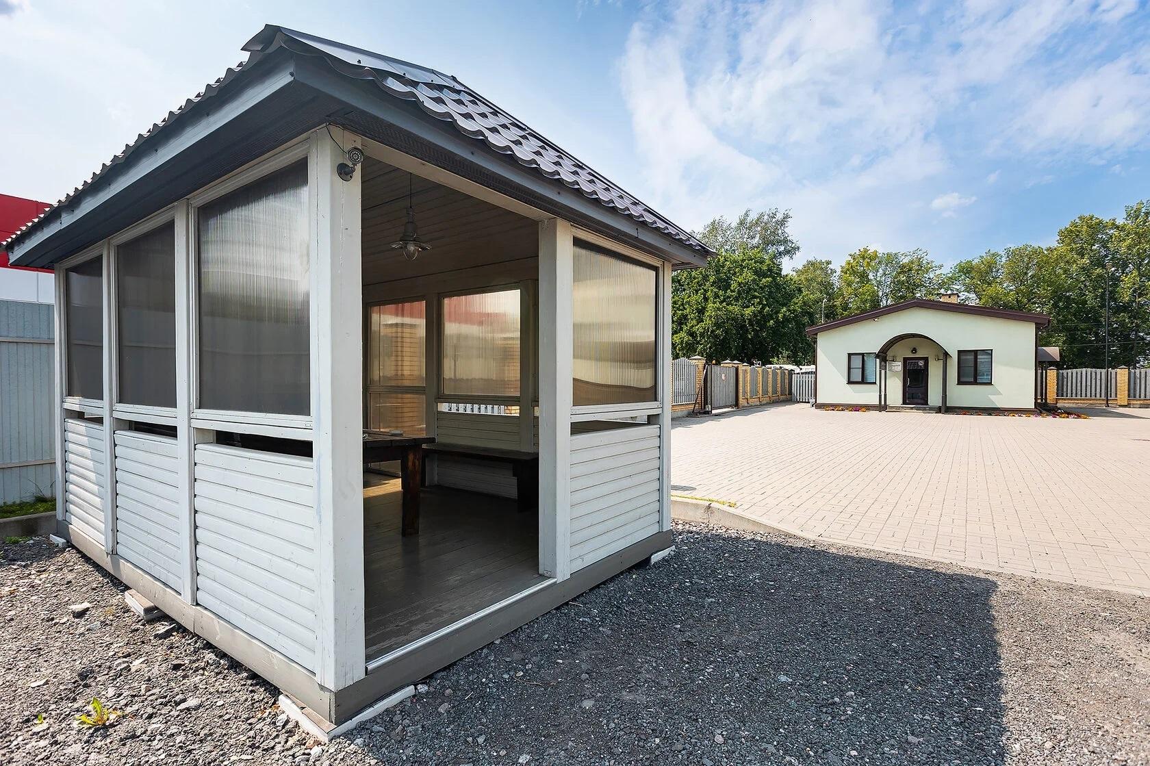 Фото Подсолнух