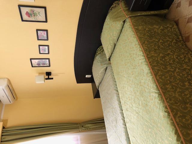 Фото Платан