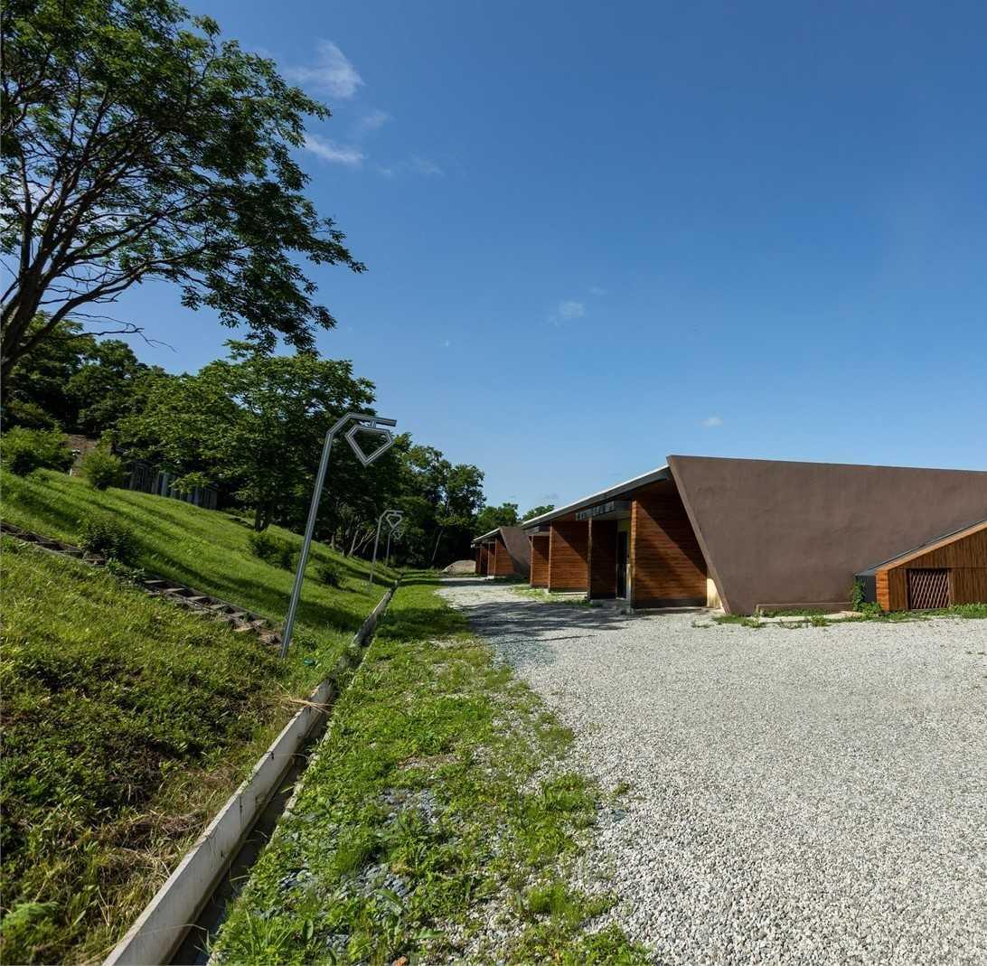 Фото Лазурная черепаха