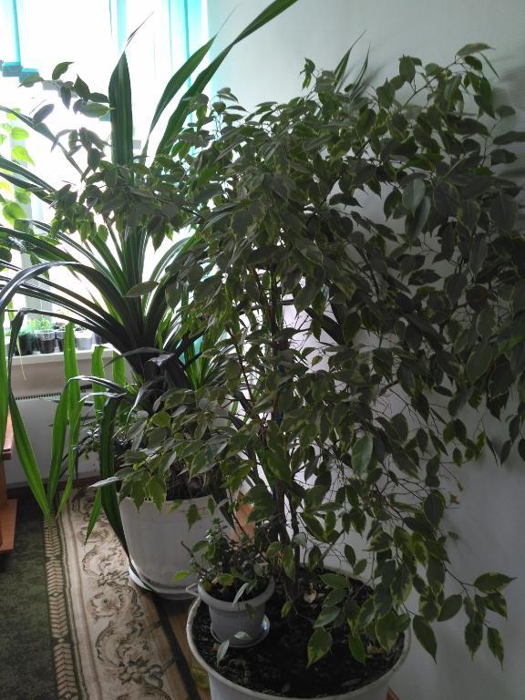 Фото Мини-отель на Марковского 81