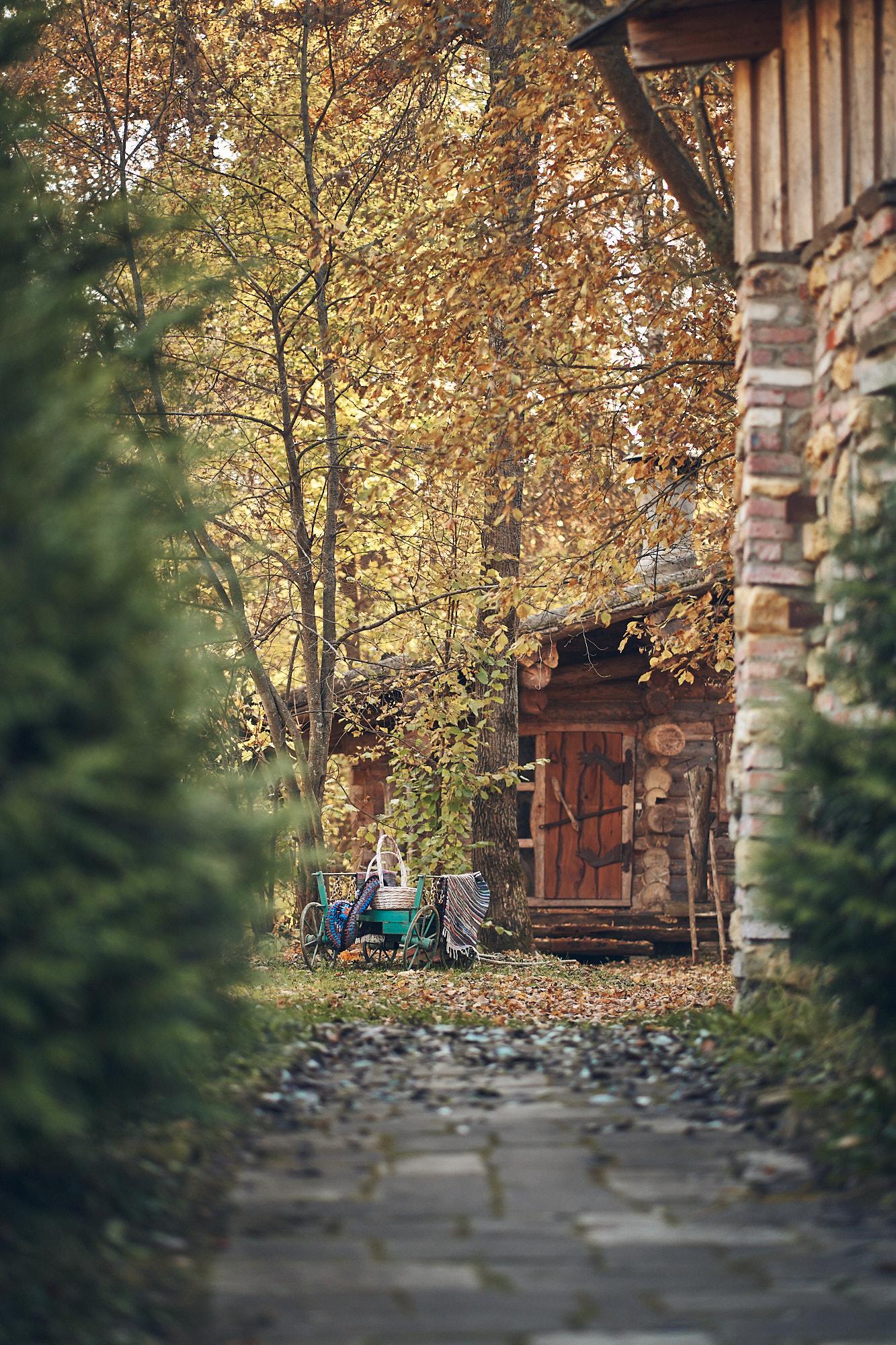 Фото Таёжные дачи