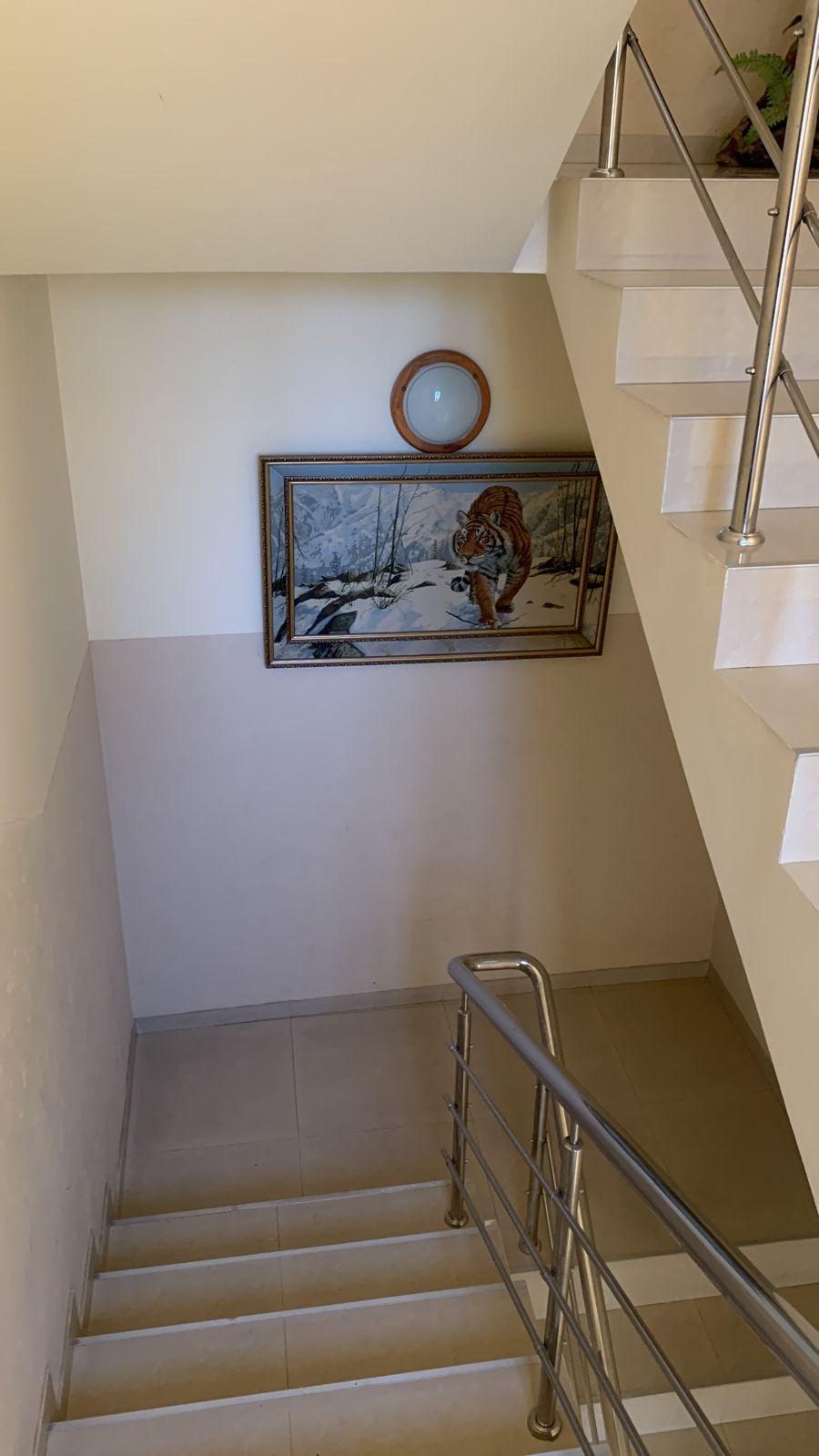 Фото Грация