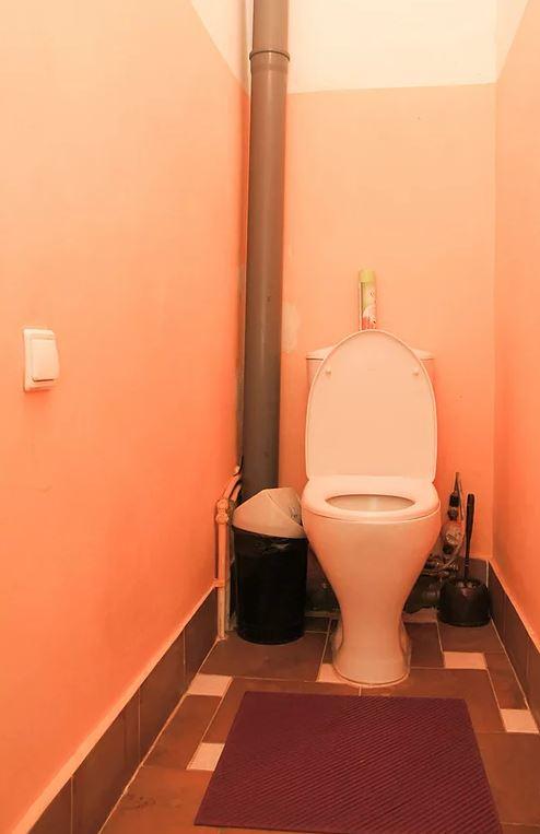 Фото Дружба