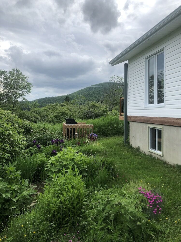 Фото Les chanterelles de Forillon