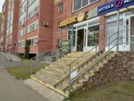 Пивхаус (Stantsionnaya ulitsa, 26В/1) ، متجر بيع البيرة