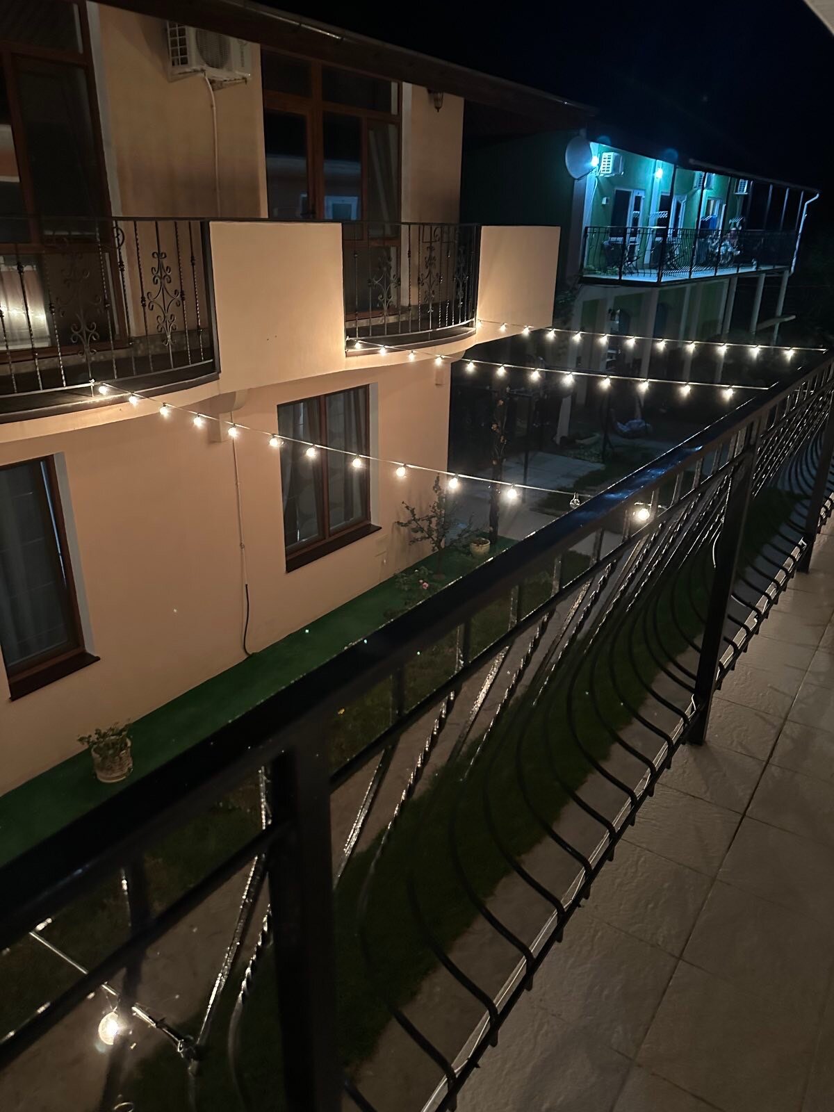 Фото Колибри