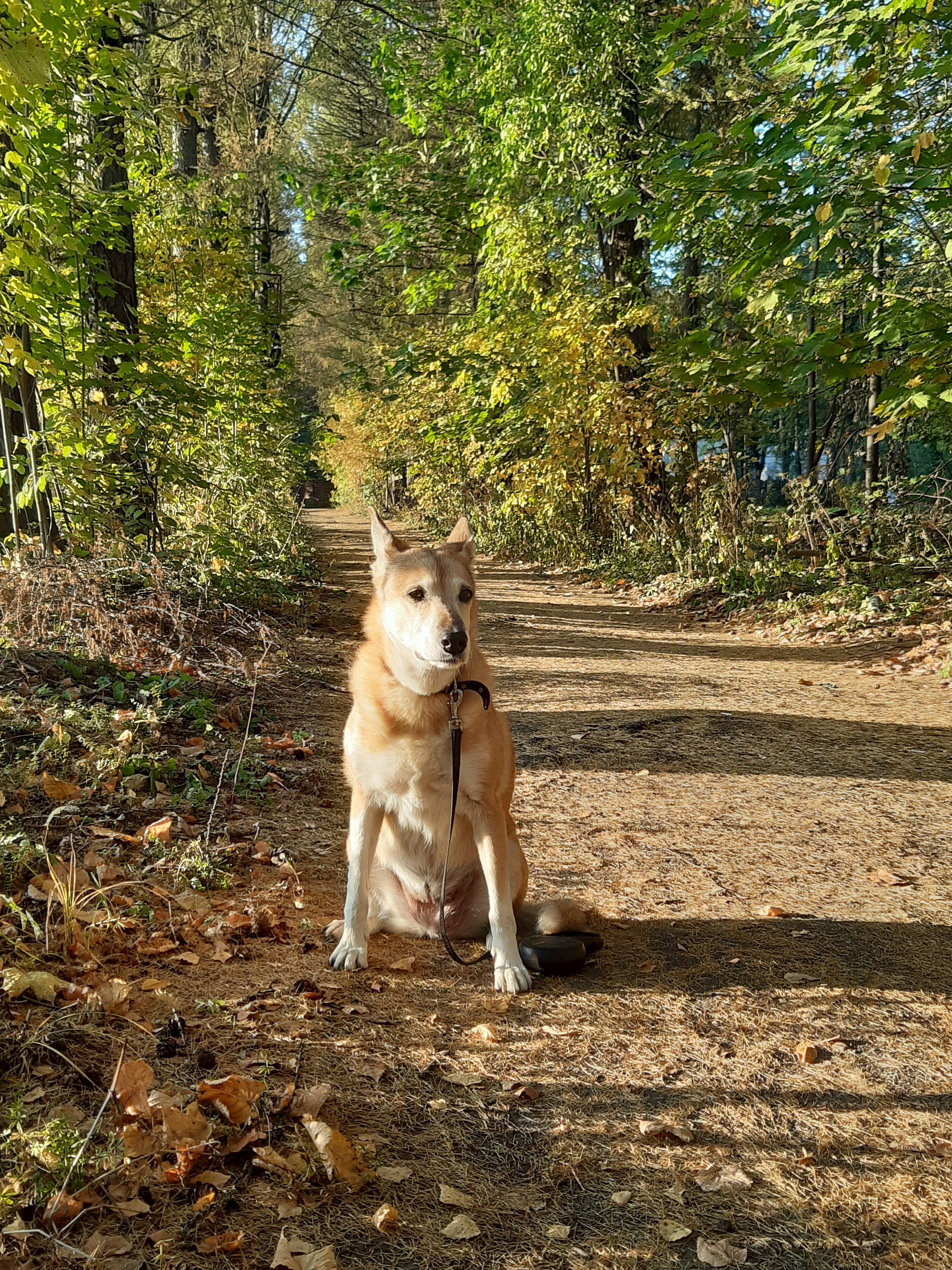 Фото Парк отель Аристократъ