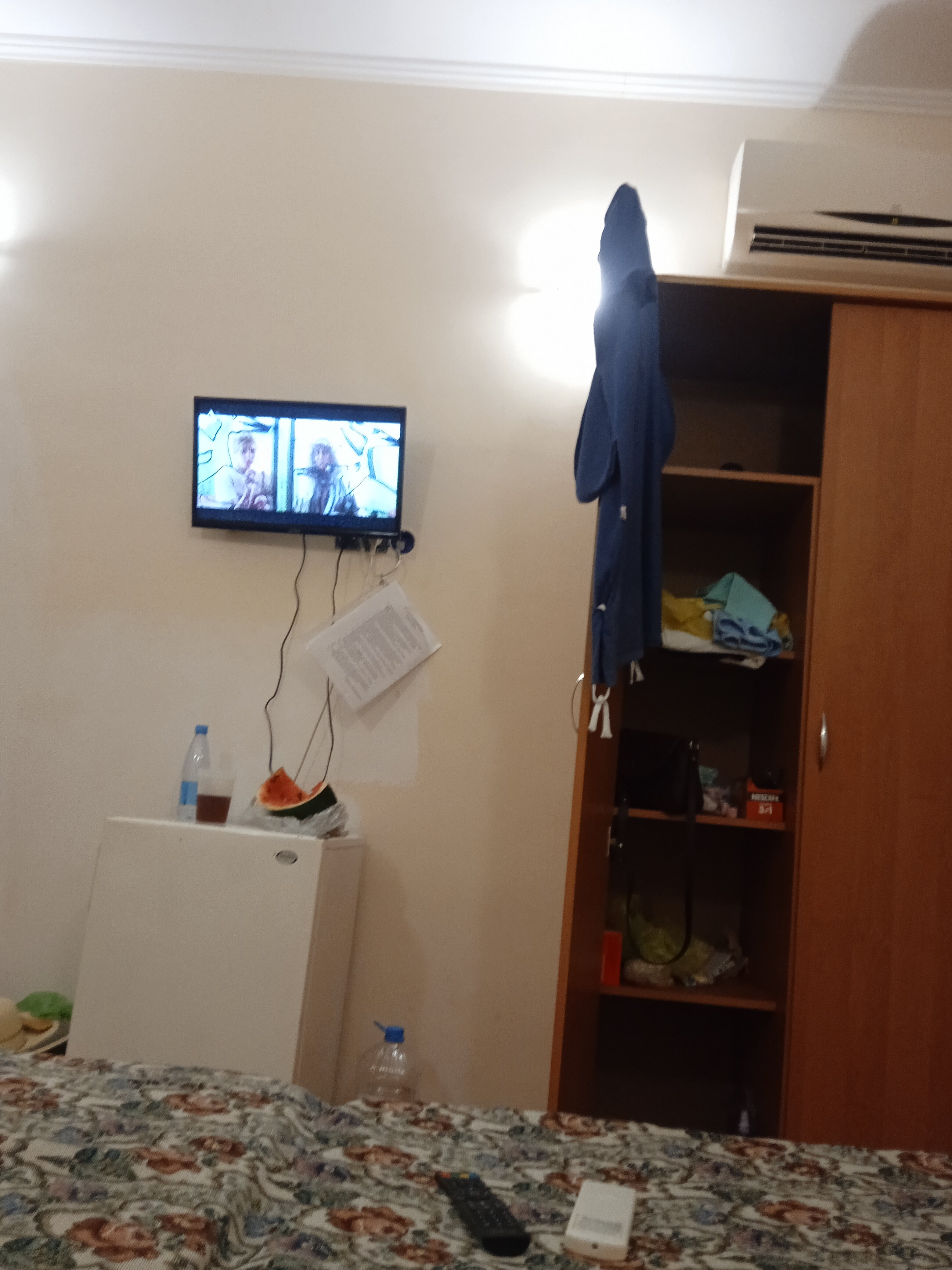 Фото Белая Панама