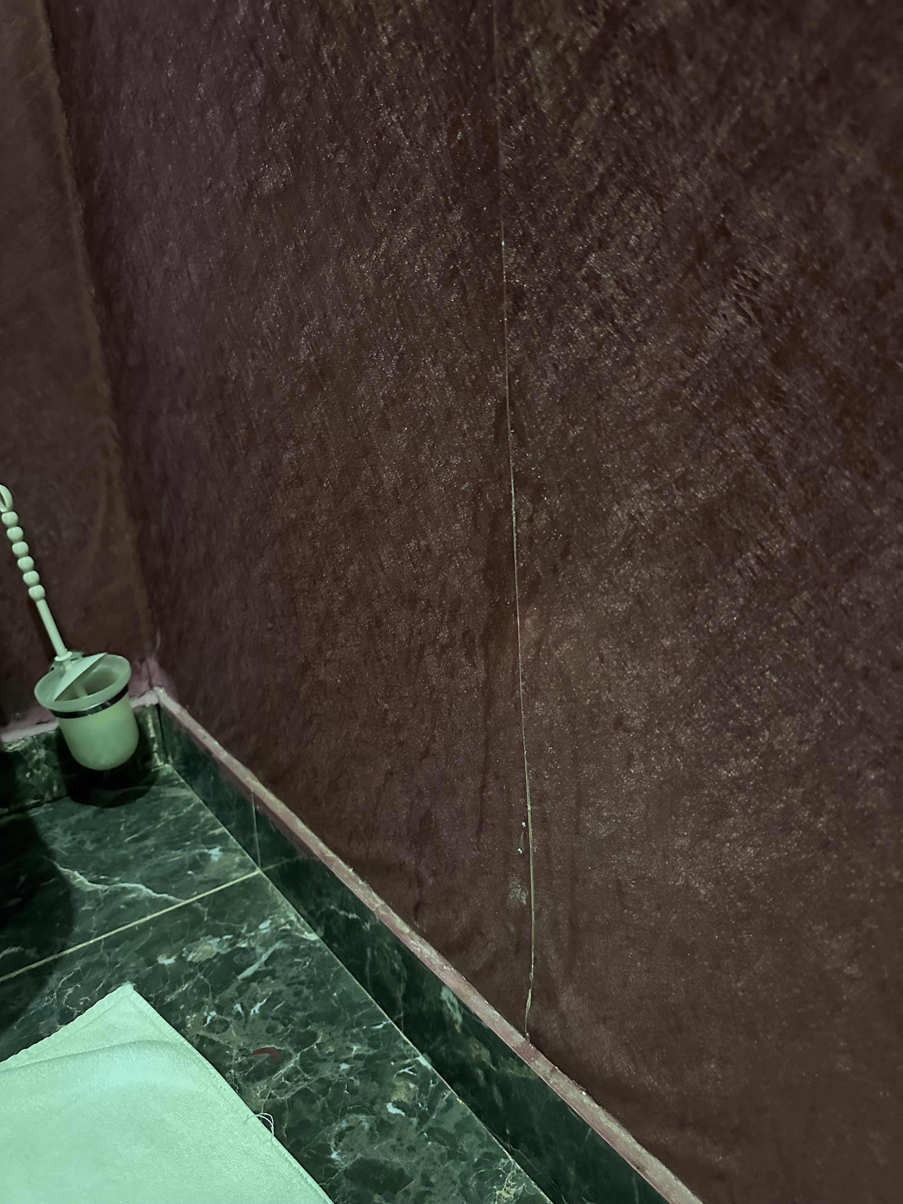 Фото Euphoria Hotel Batumi