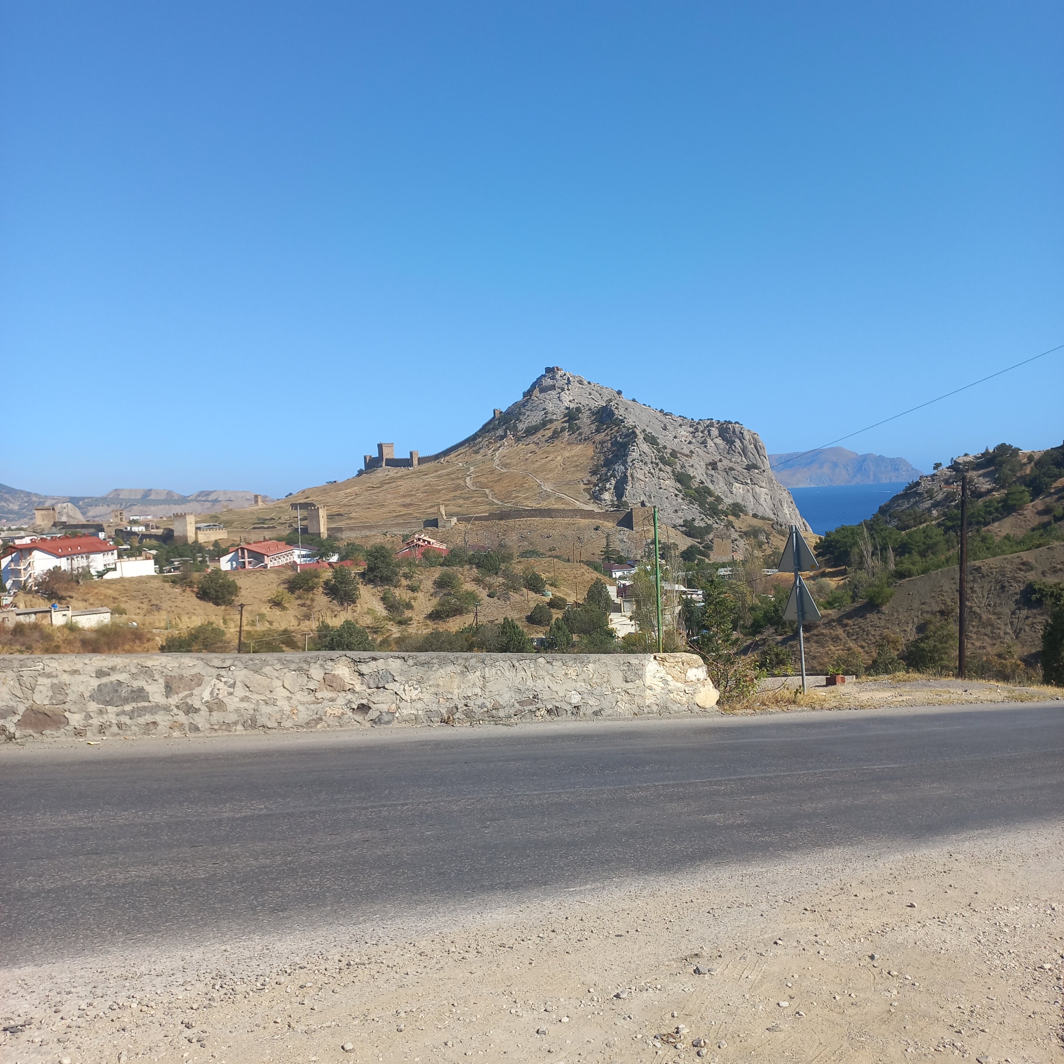 Фото Кипарис