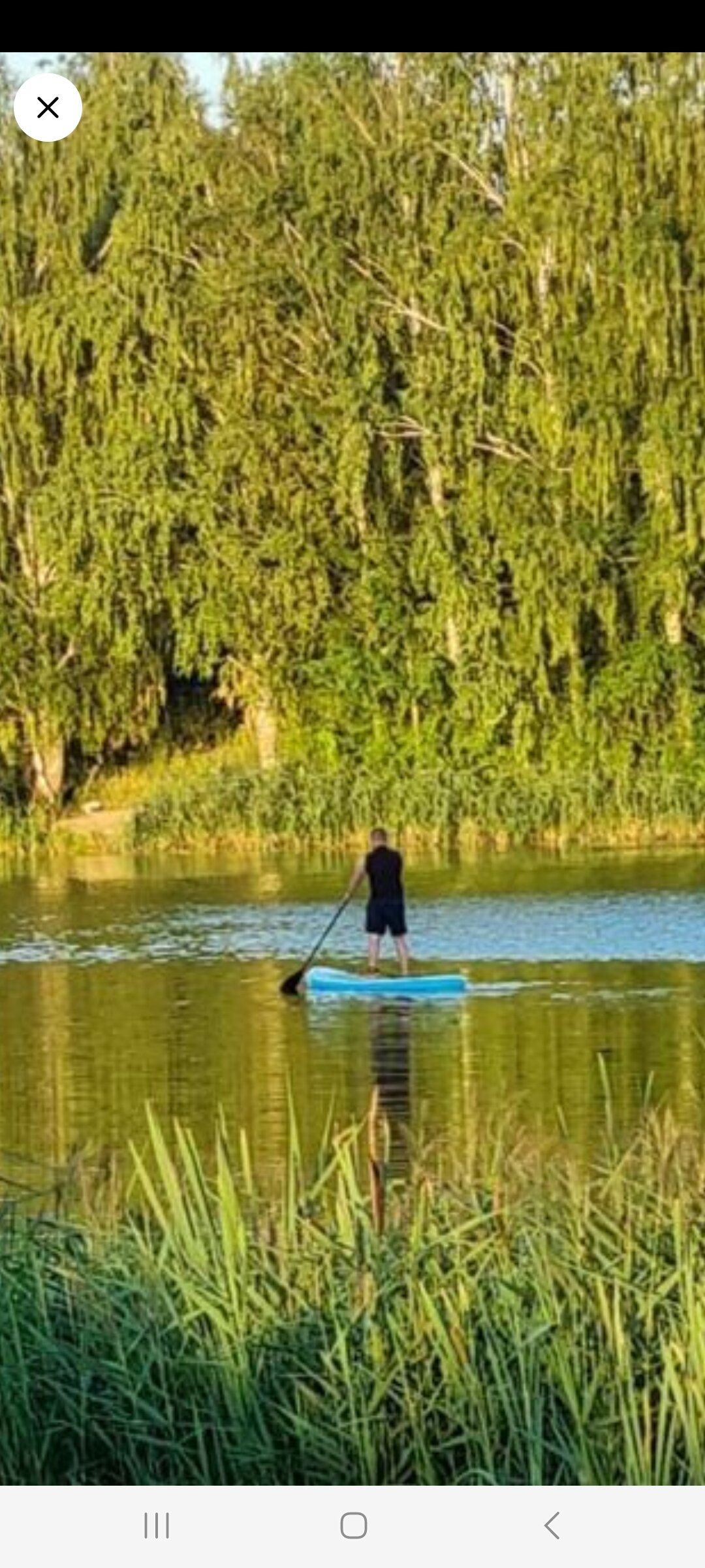 Фото Афрейм