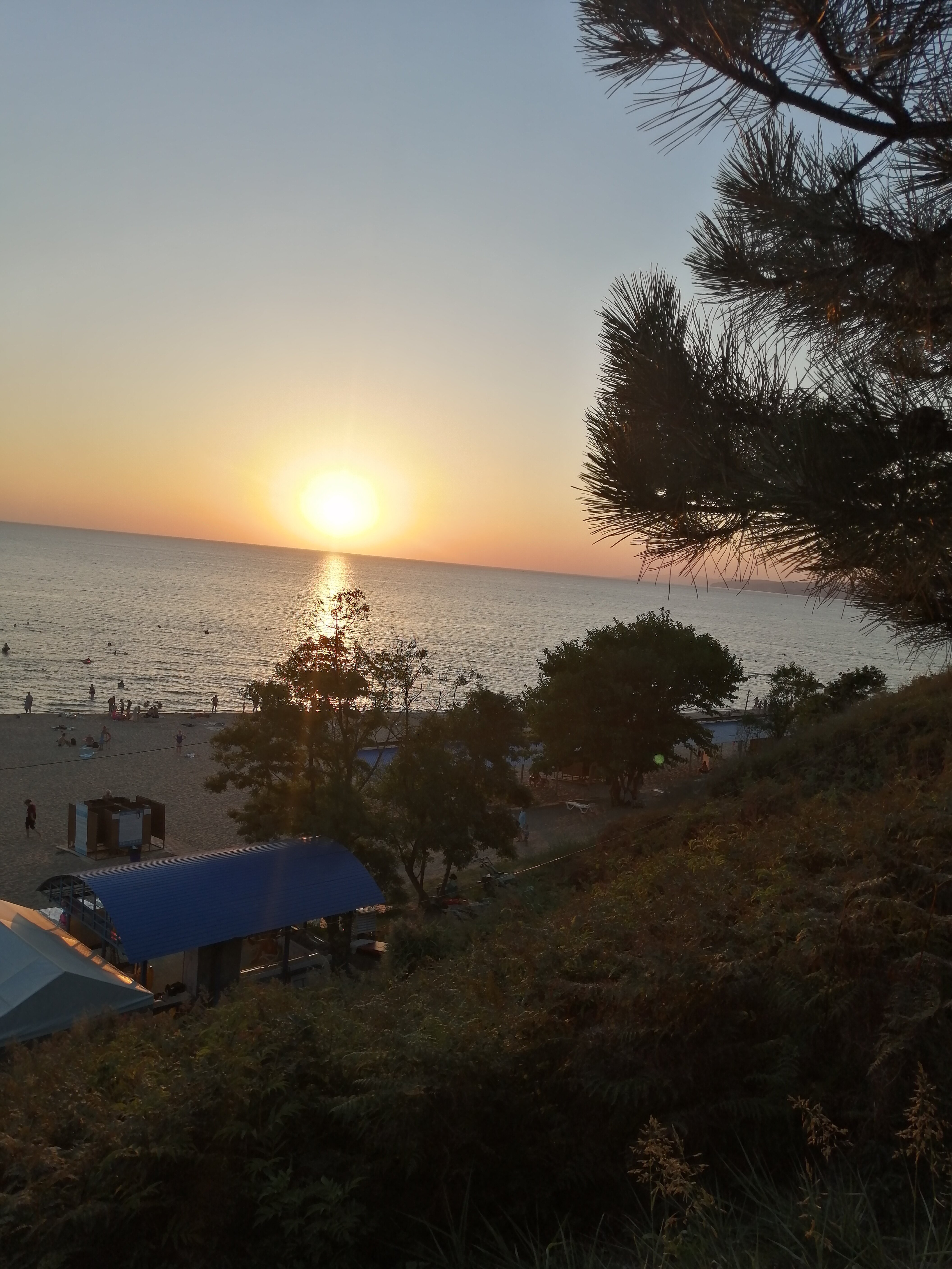 Фото У Петровича