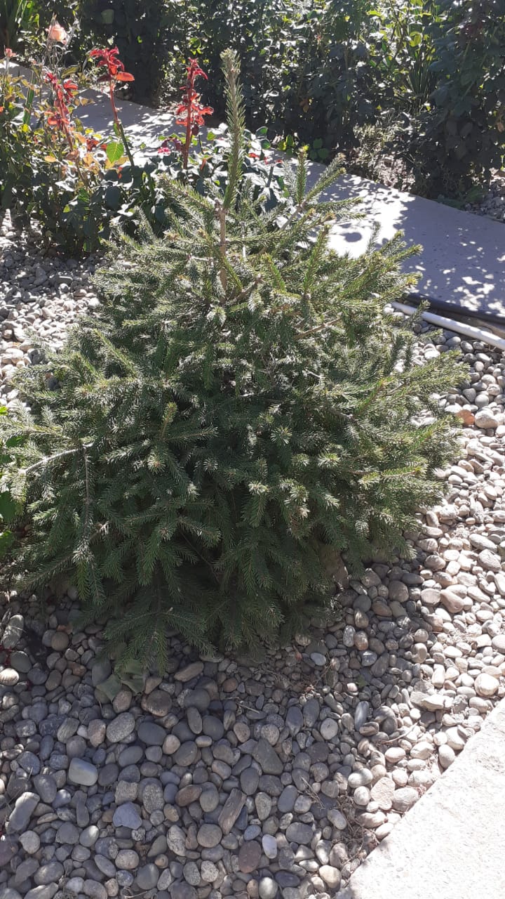 Фото В гостях у бабы Поли