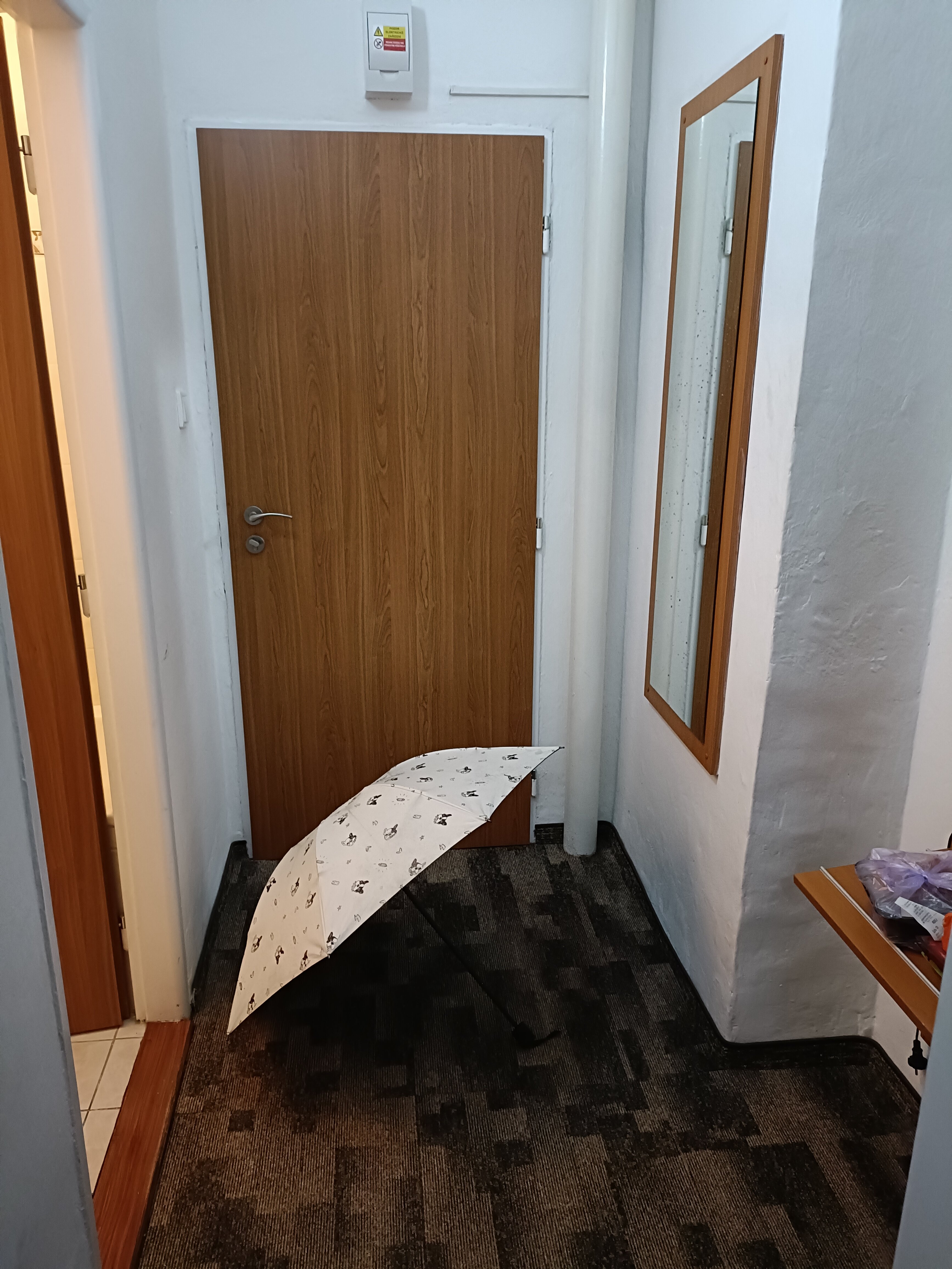 Фото Hotel Veronika