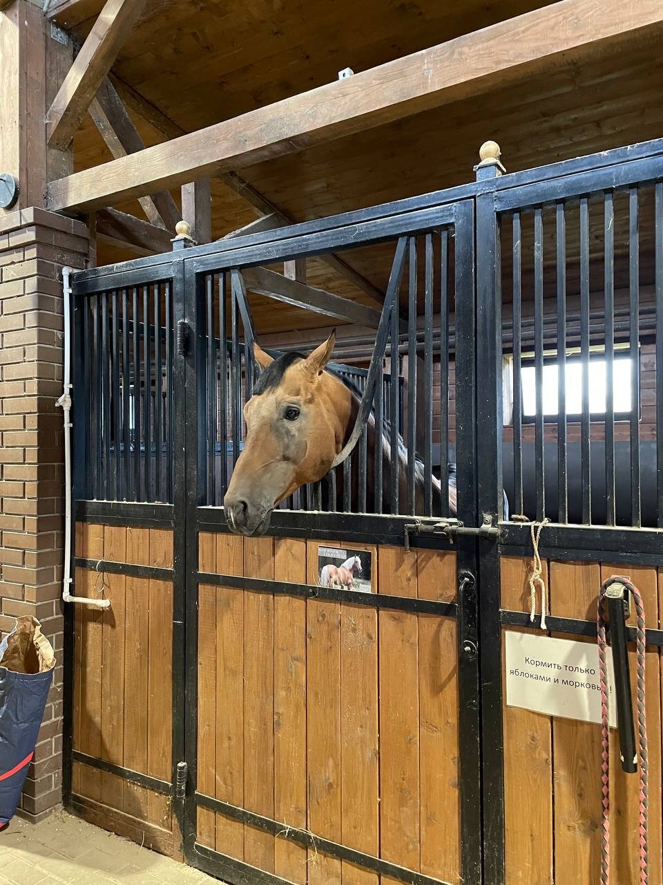 Фото Ecorancho Home