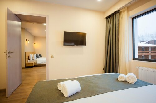 Гостиница Bakuriani inn в Бакуриани