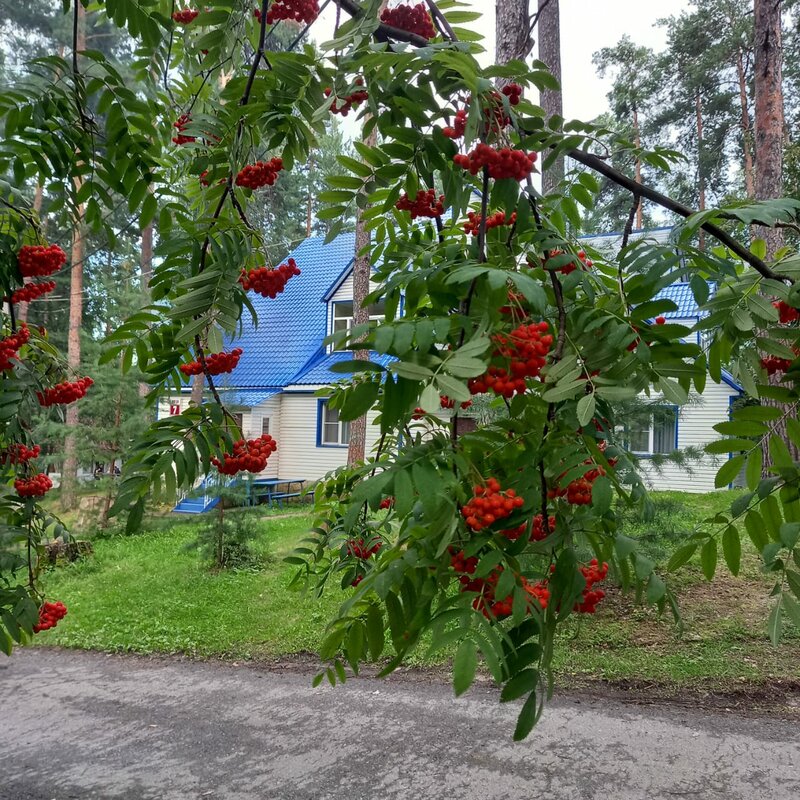 Сфера — фото 9