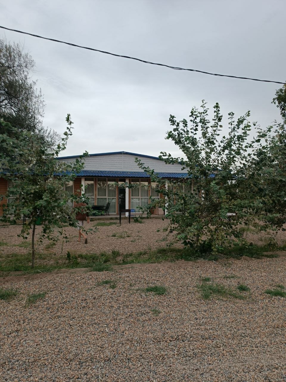 Фото Ягода-Малина