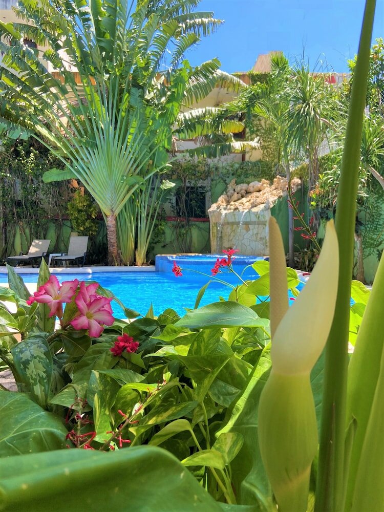 Фото Hotel Lunasol