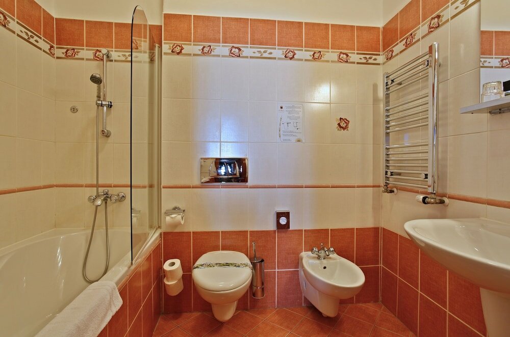 Фото Hotel U Páva