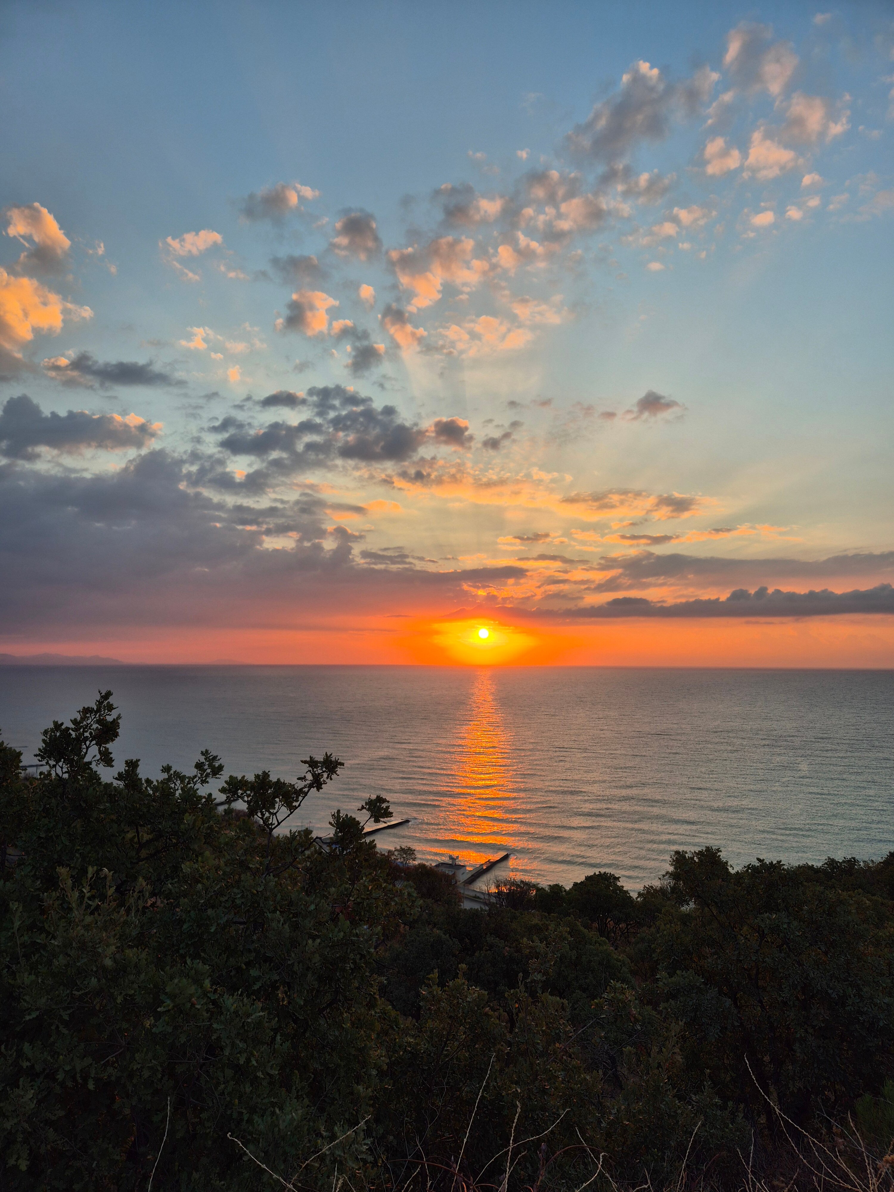 Фото Royal villa 2021