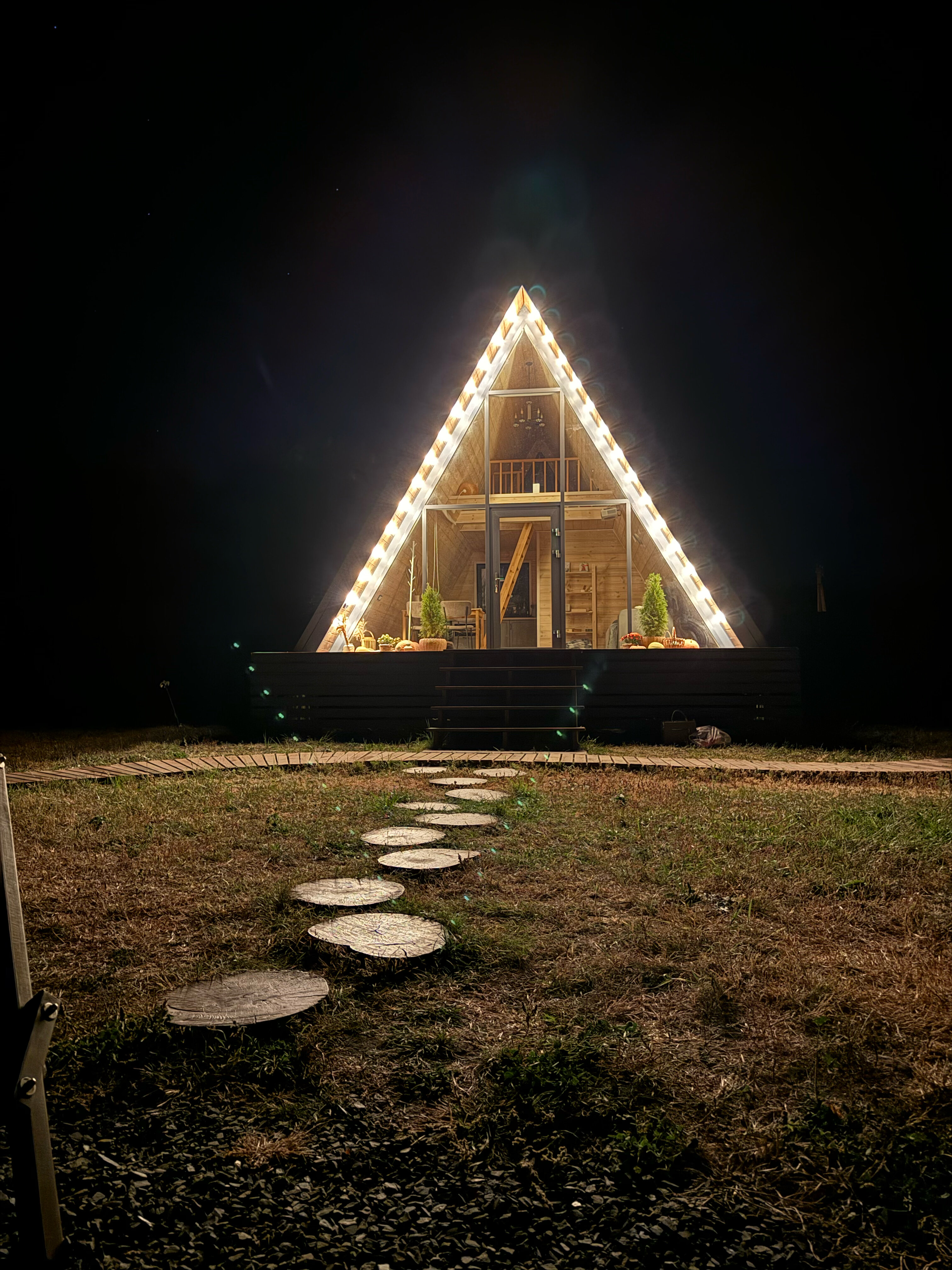 Фото Камыши