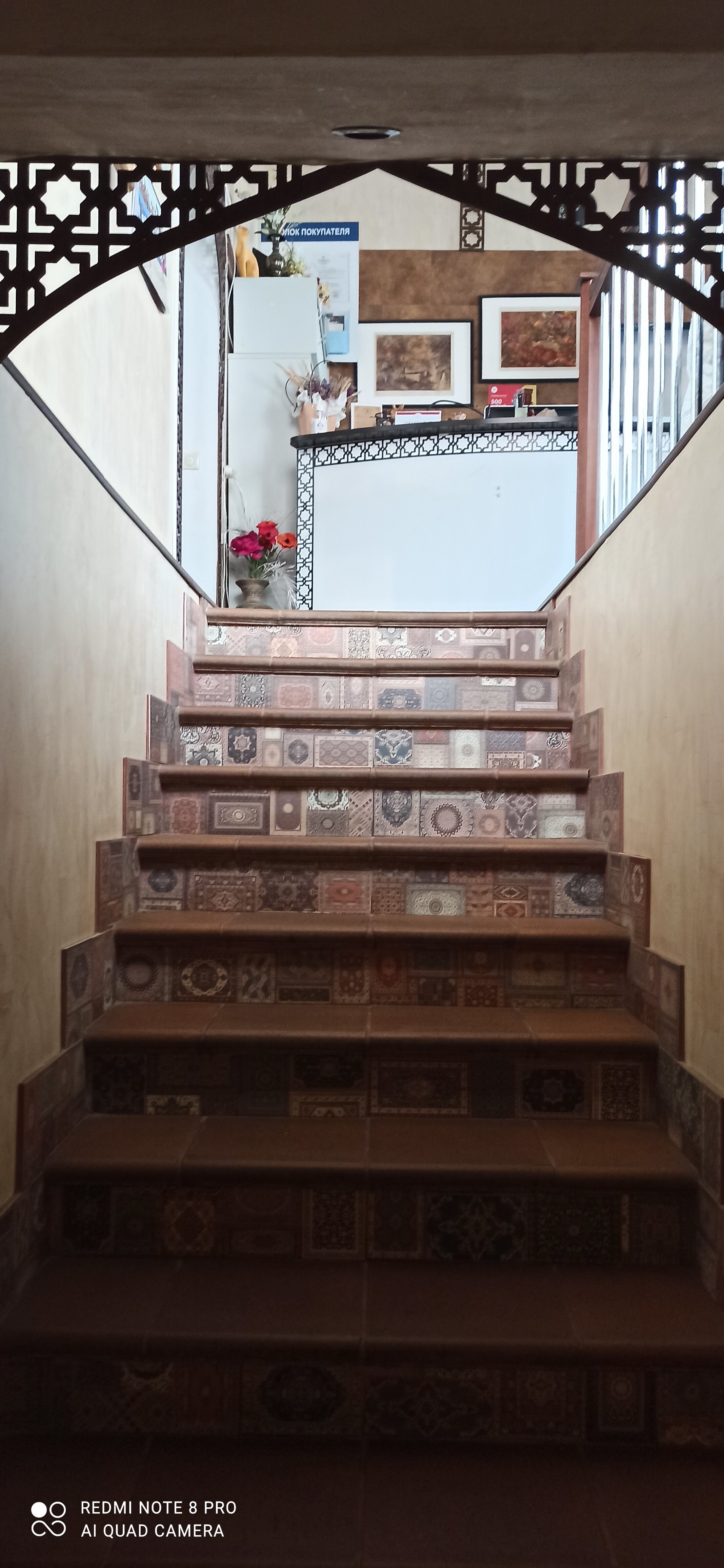 Фото Сарацин