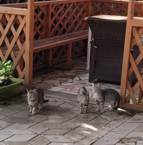 Фото Фотини