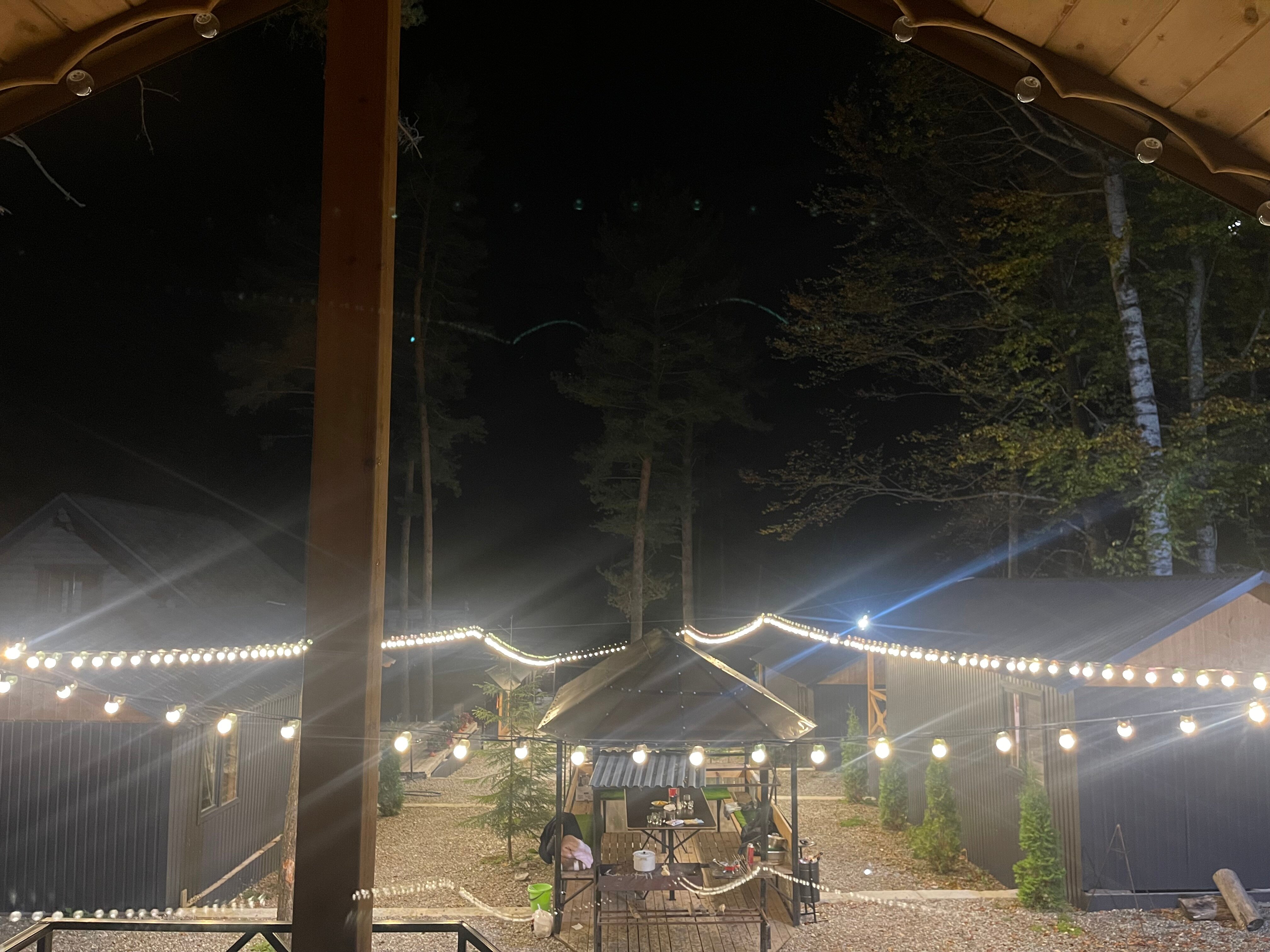 Фото Сосновка