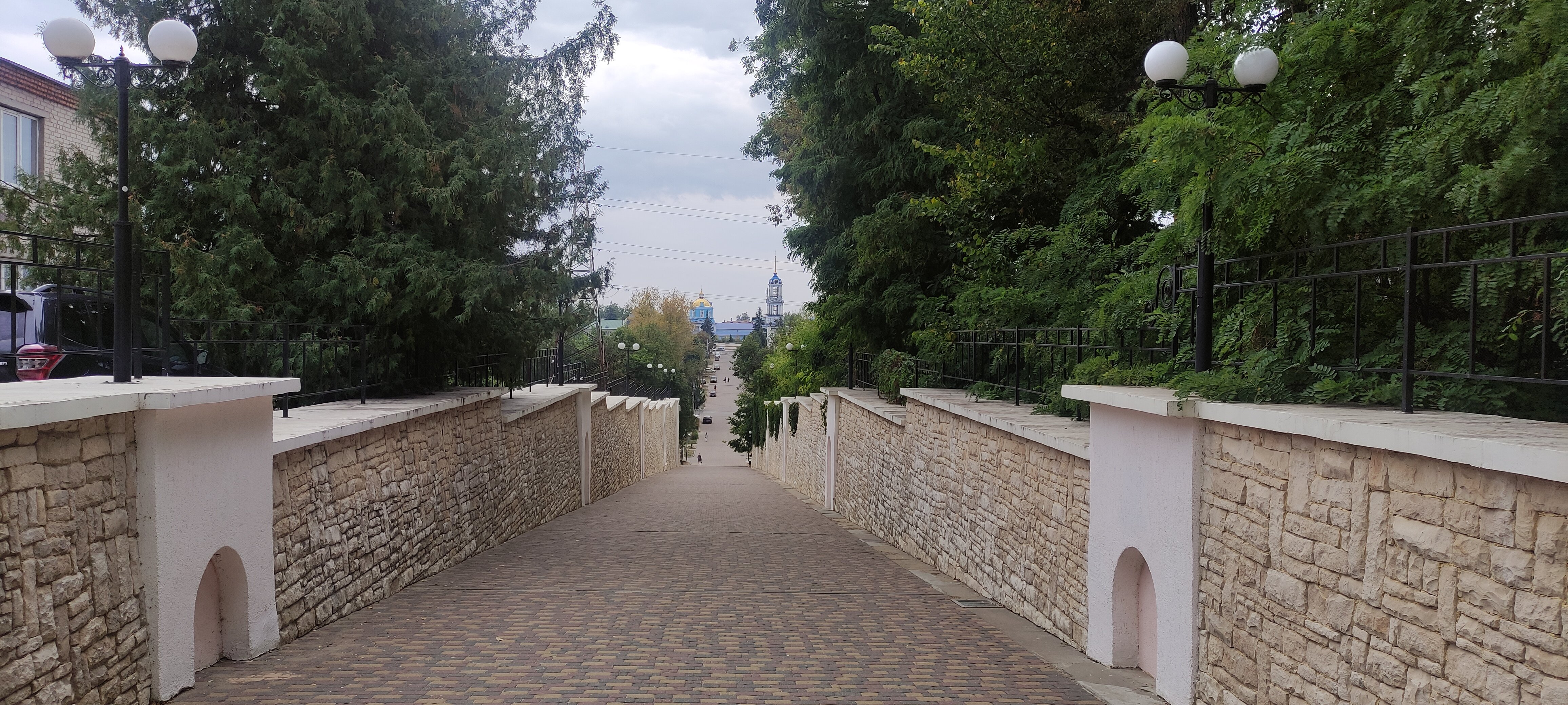 Фото Задонский