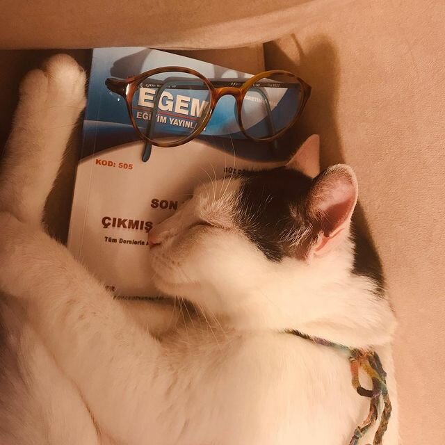 Publishing house Egem Publications, Izmir, photo