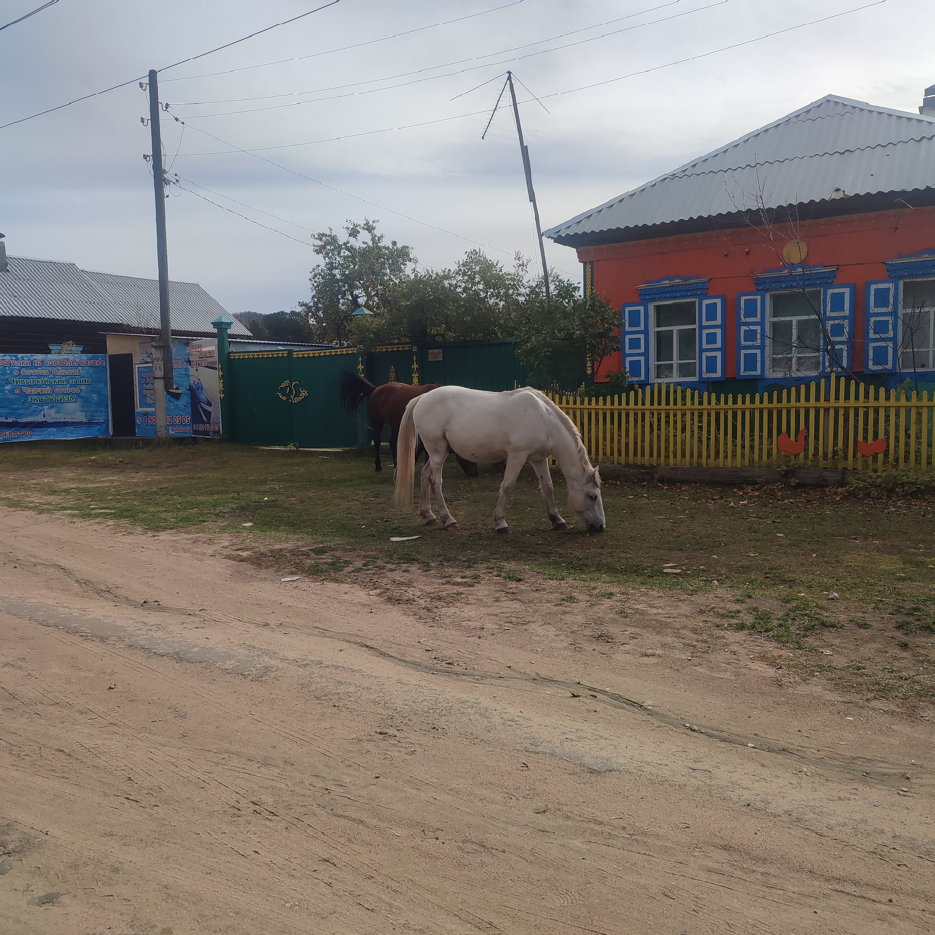 Фото Горхон