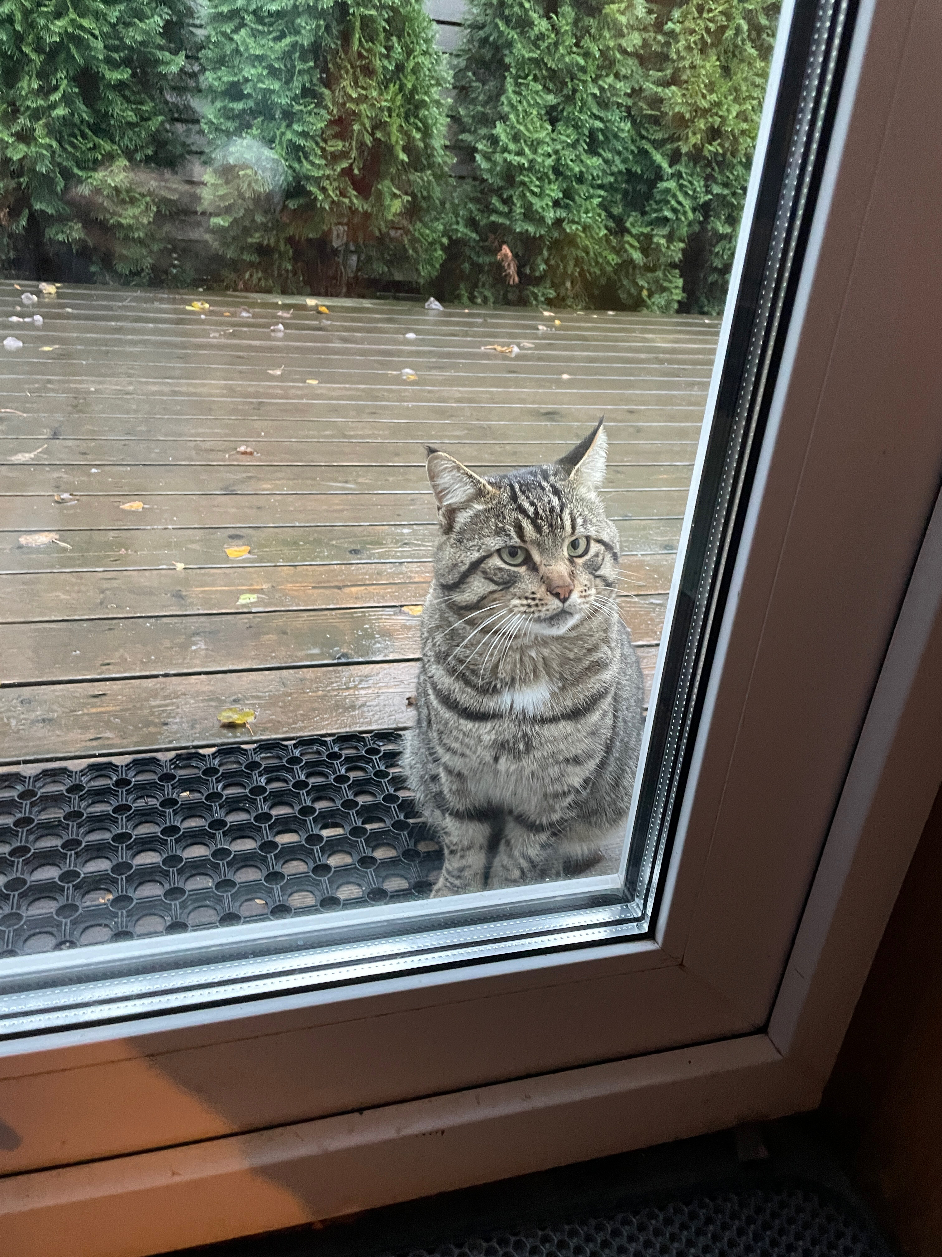 Фото Mini Bo House