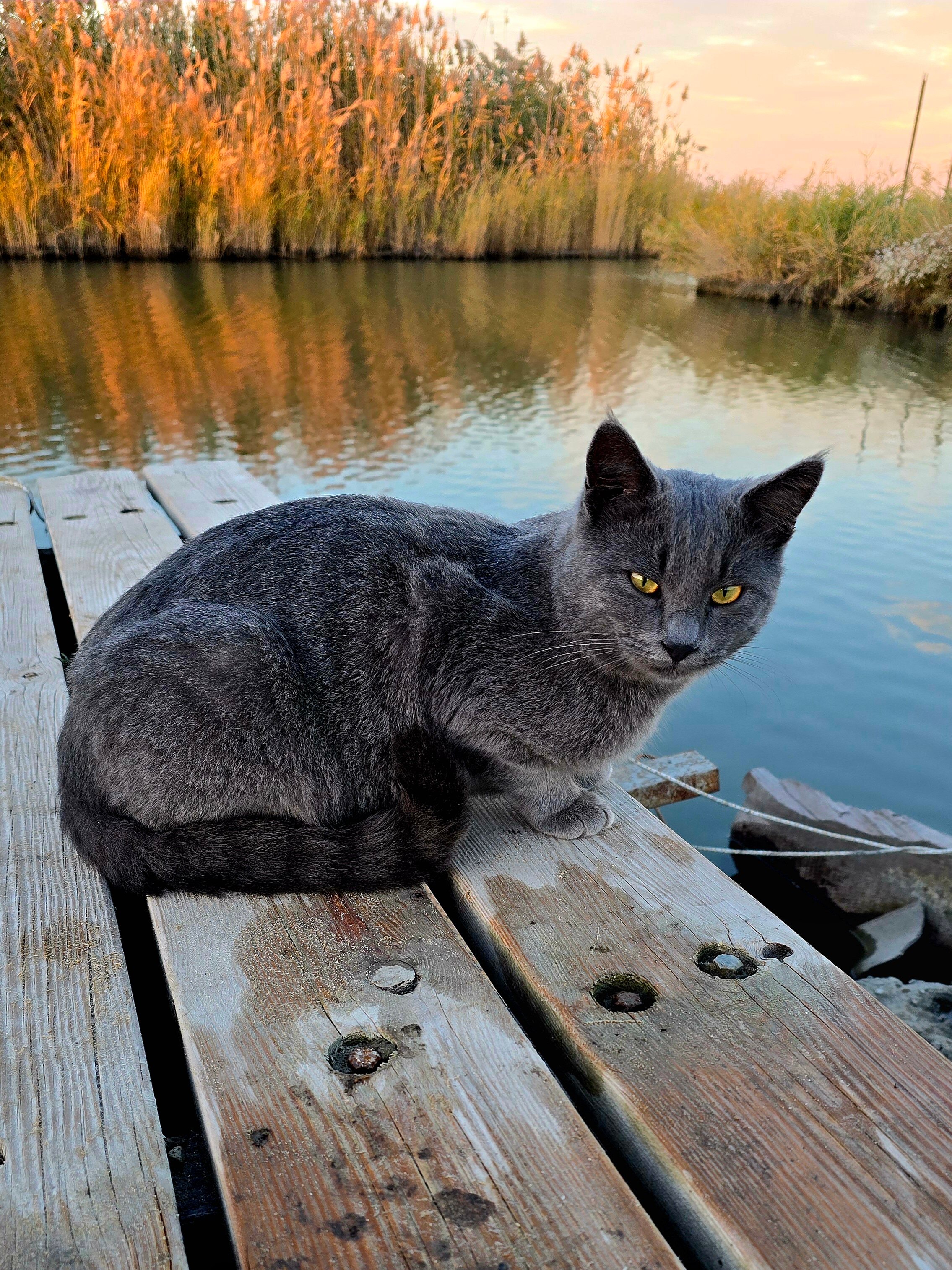 Фото Фазенда