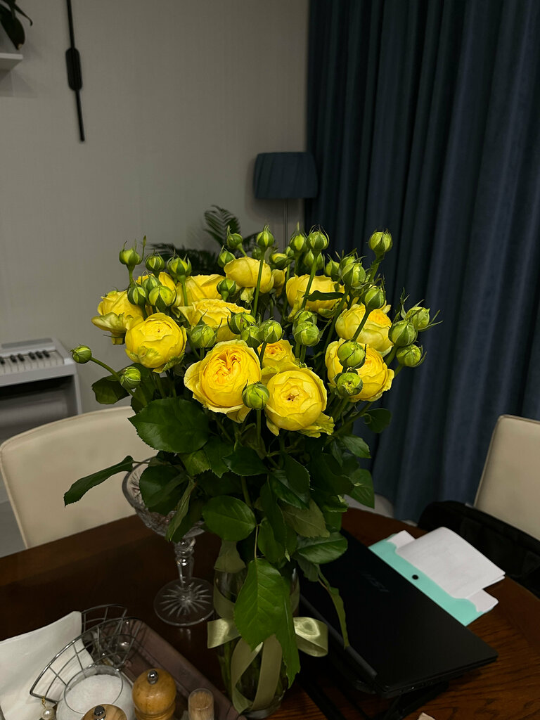 Юлия Сизоненко