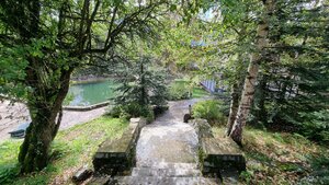 Woodland