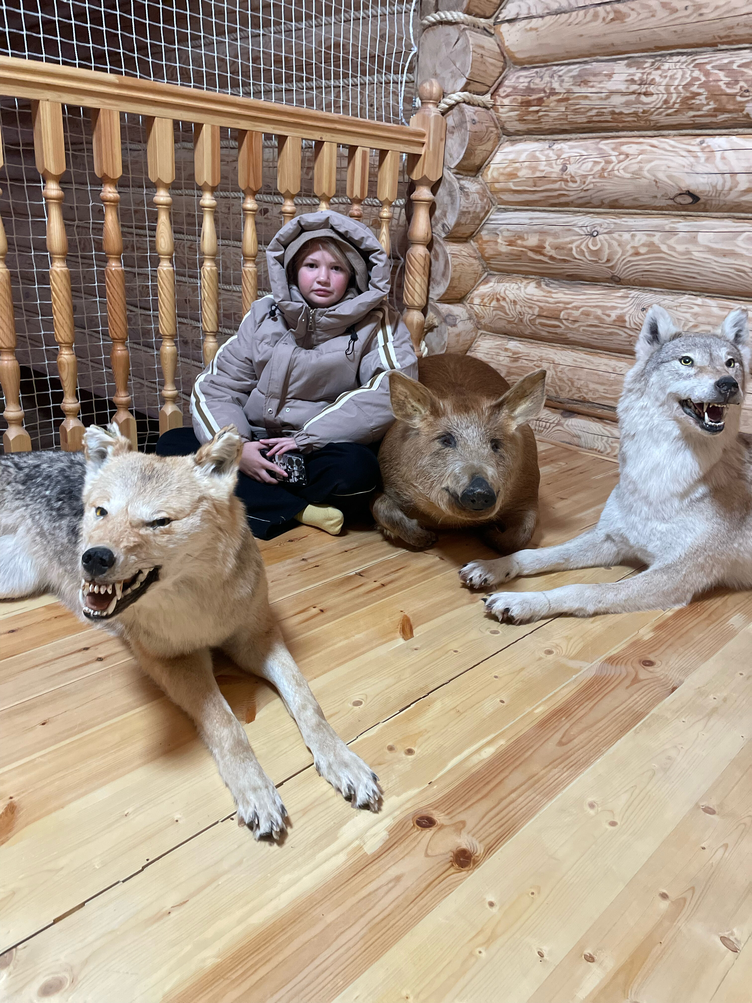 Фото Земские имения