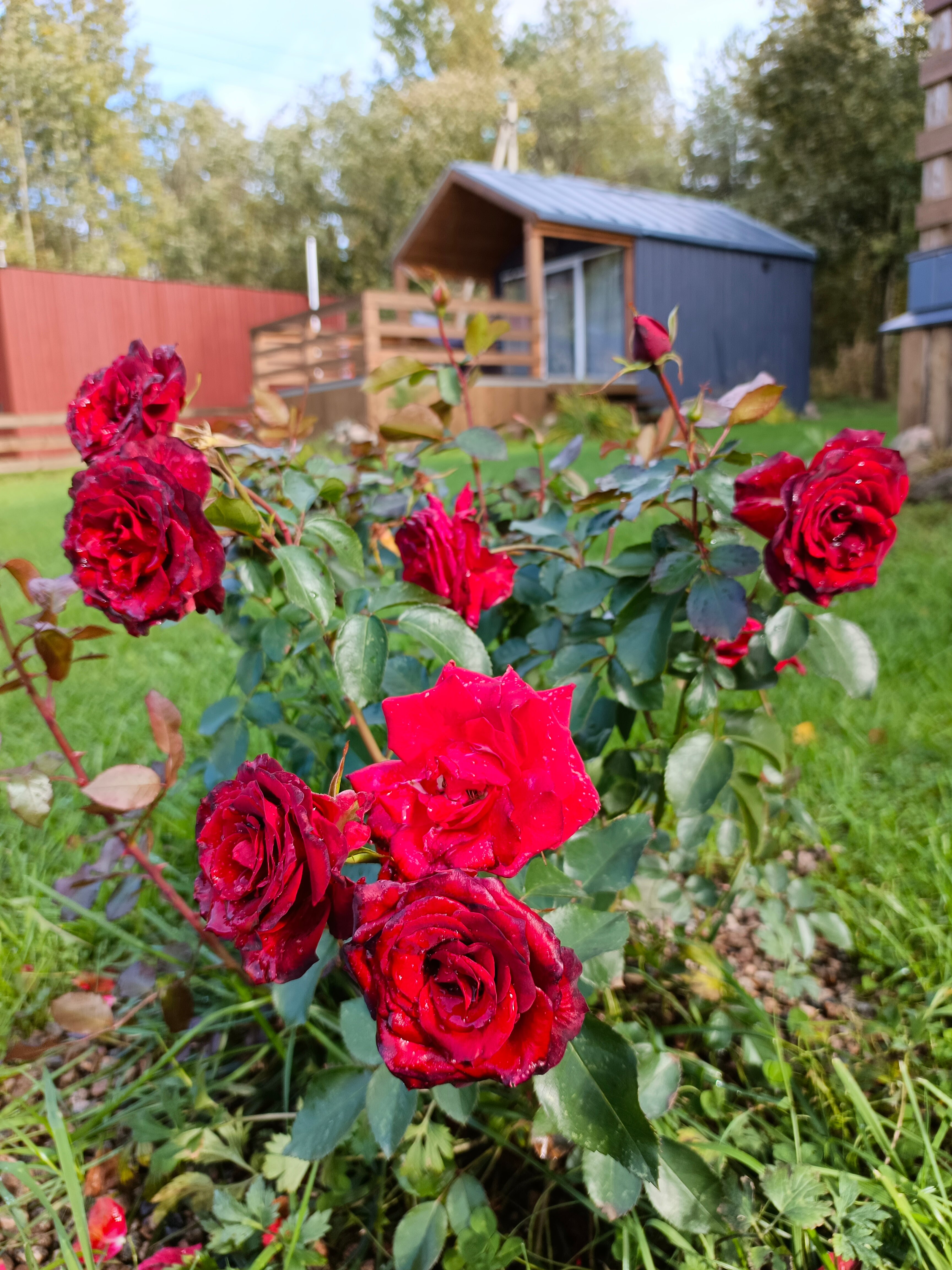 Фото Smoky Hills