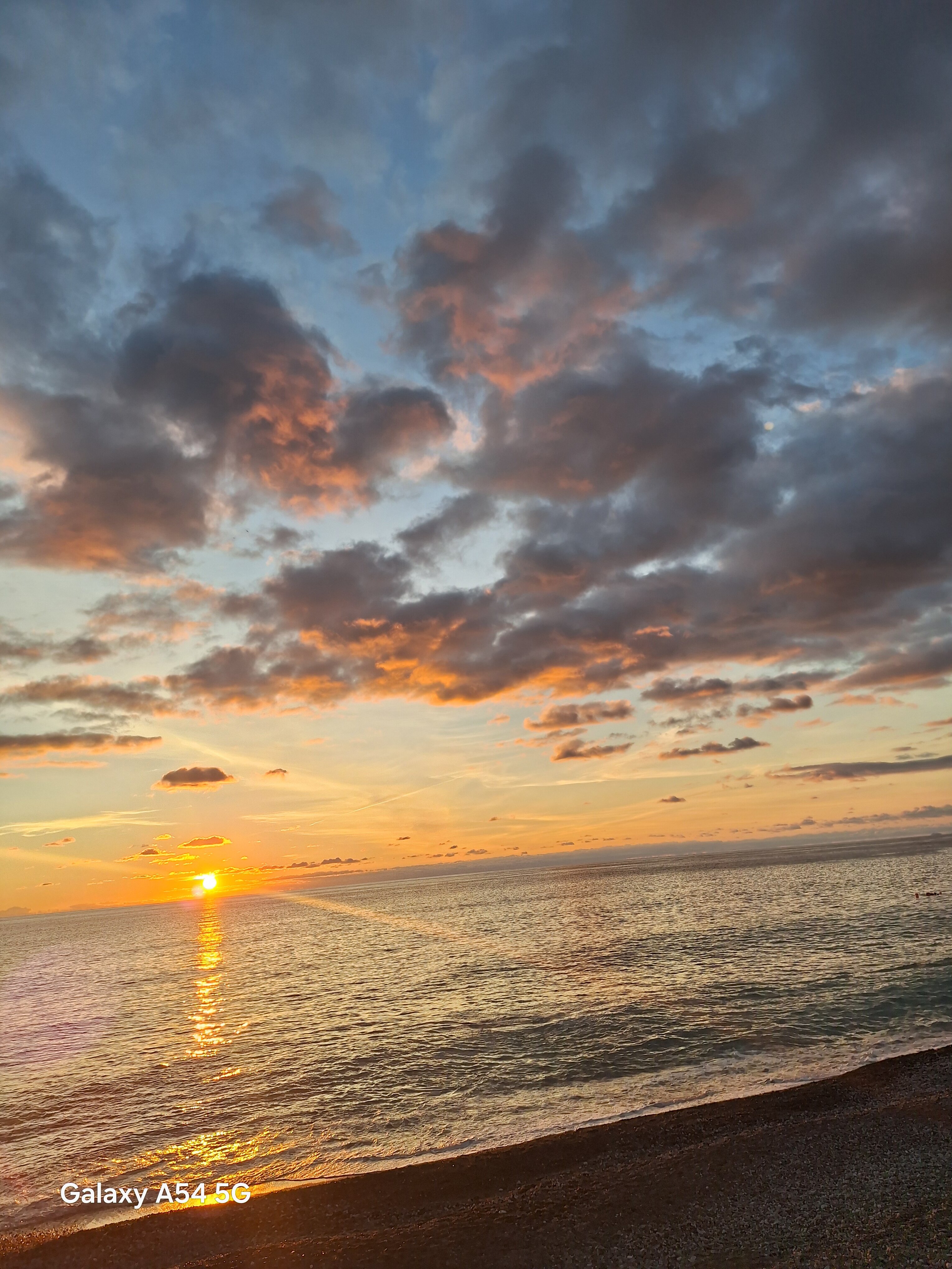 Фото Alex Resort & SPA Hotel