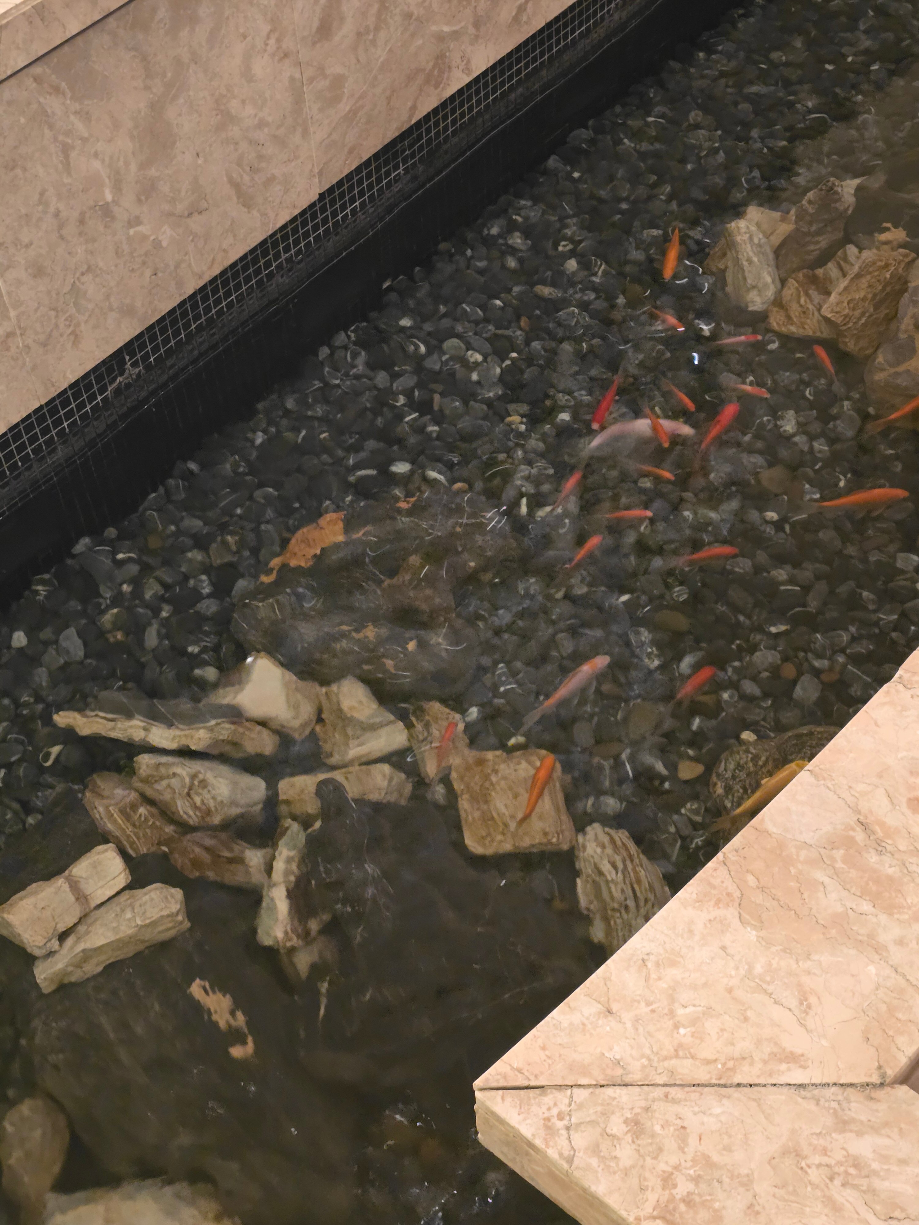 Фото Lotte Hotel Seoul Executive Tower