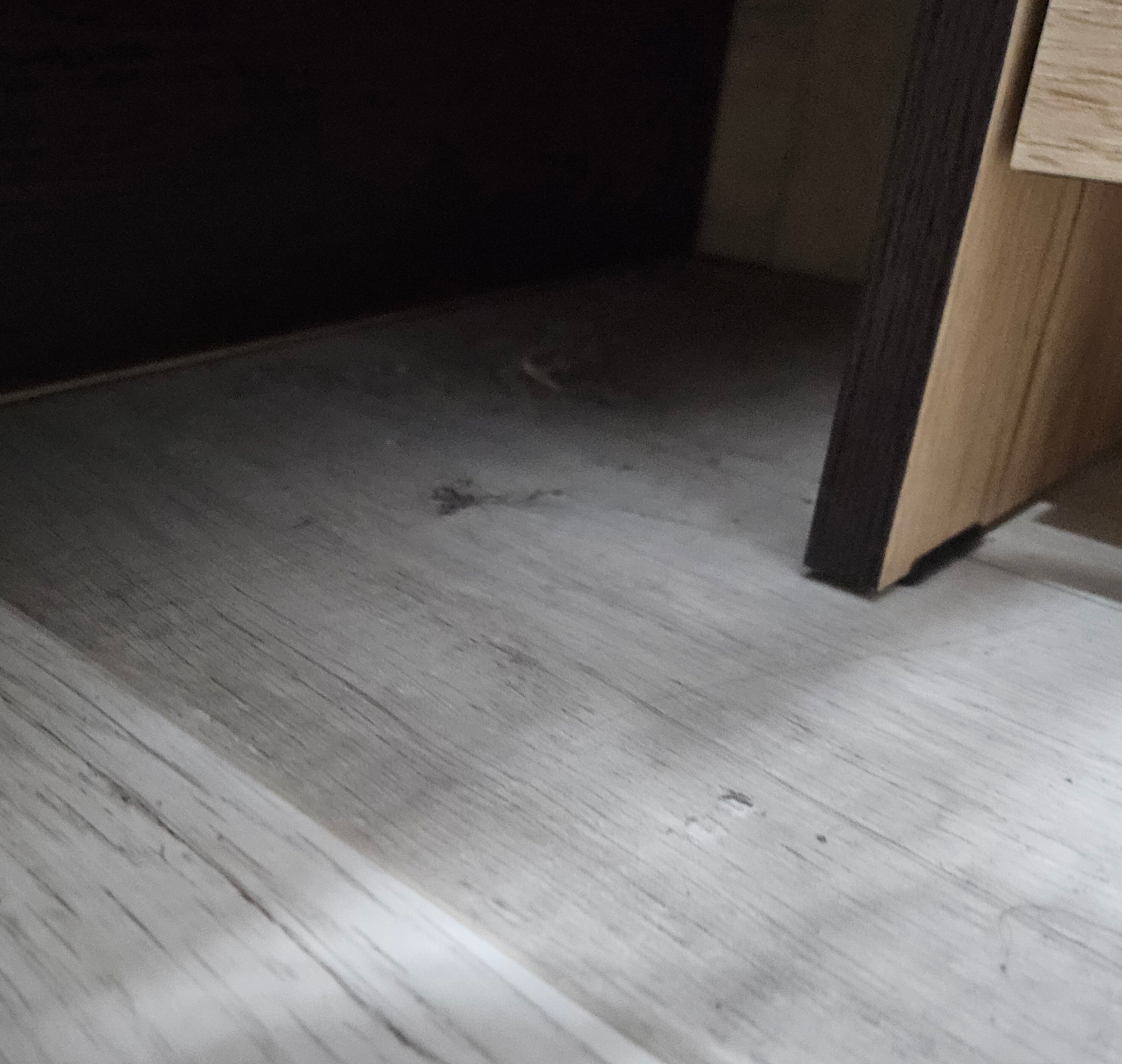 Фото Победа