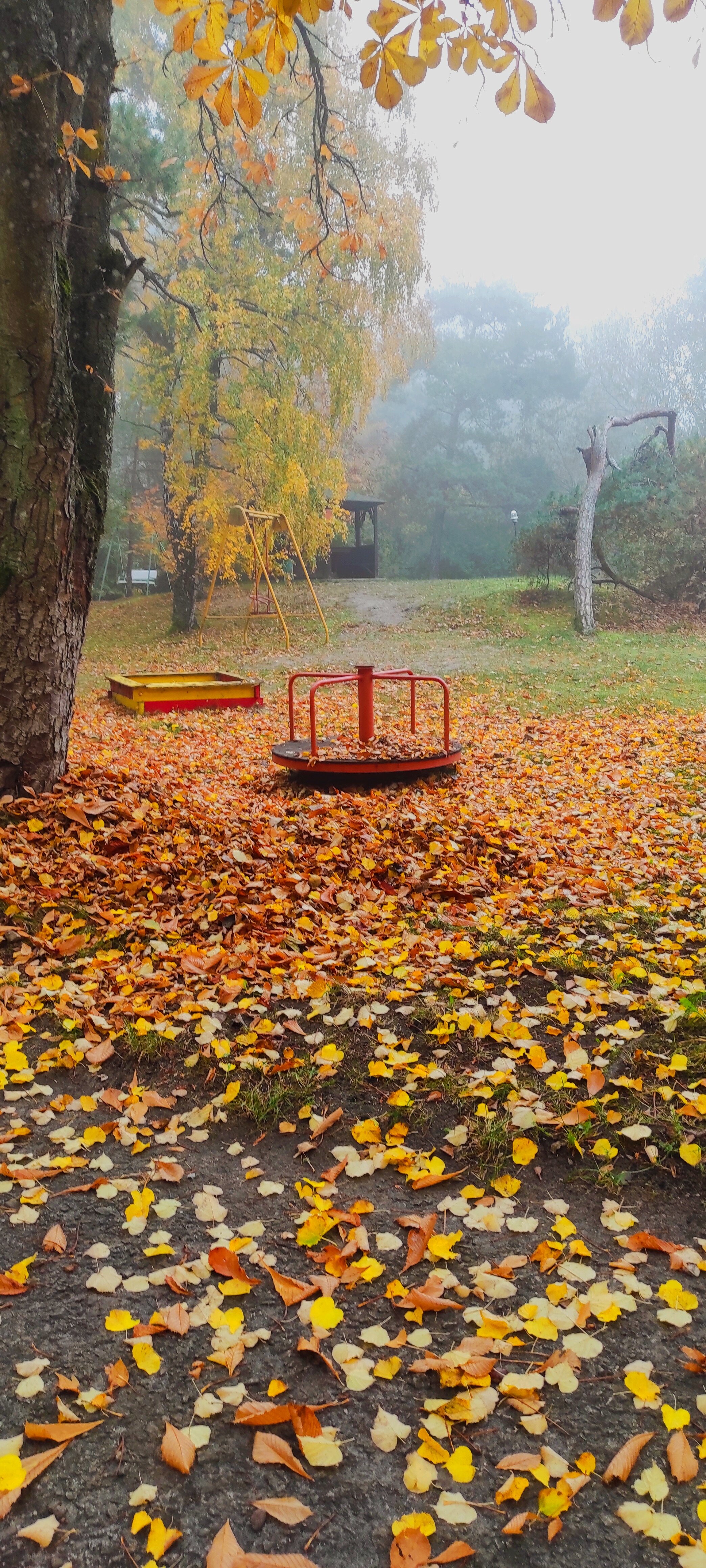 Фото Дом рыболова