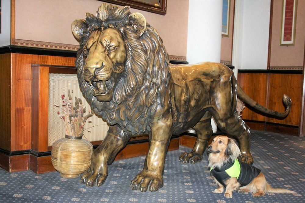 Фото отеля 3