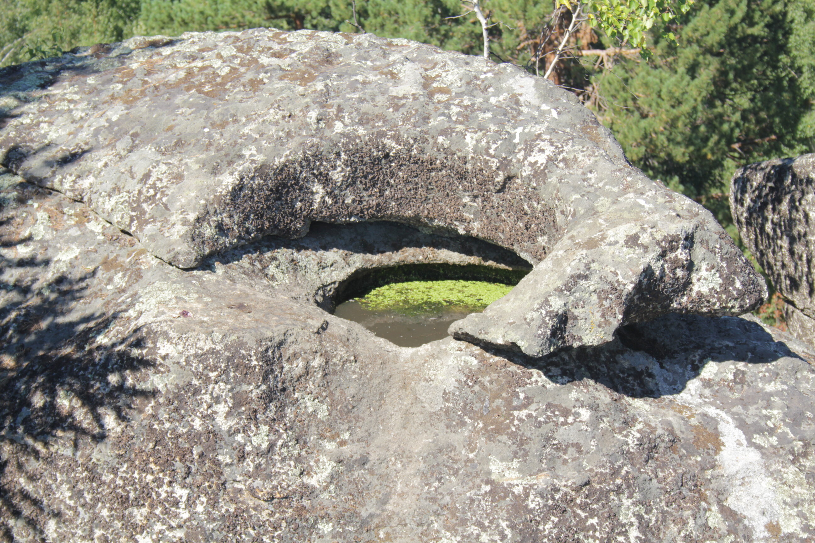 Фото Тихий Лог