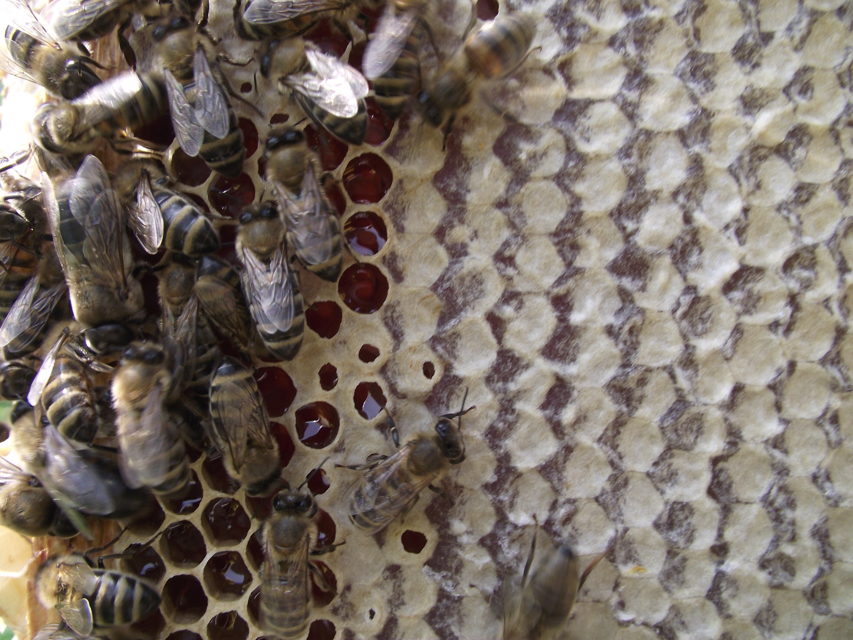 Фото Тихий Лог