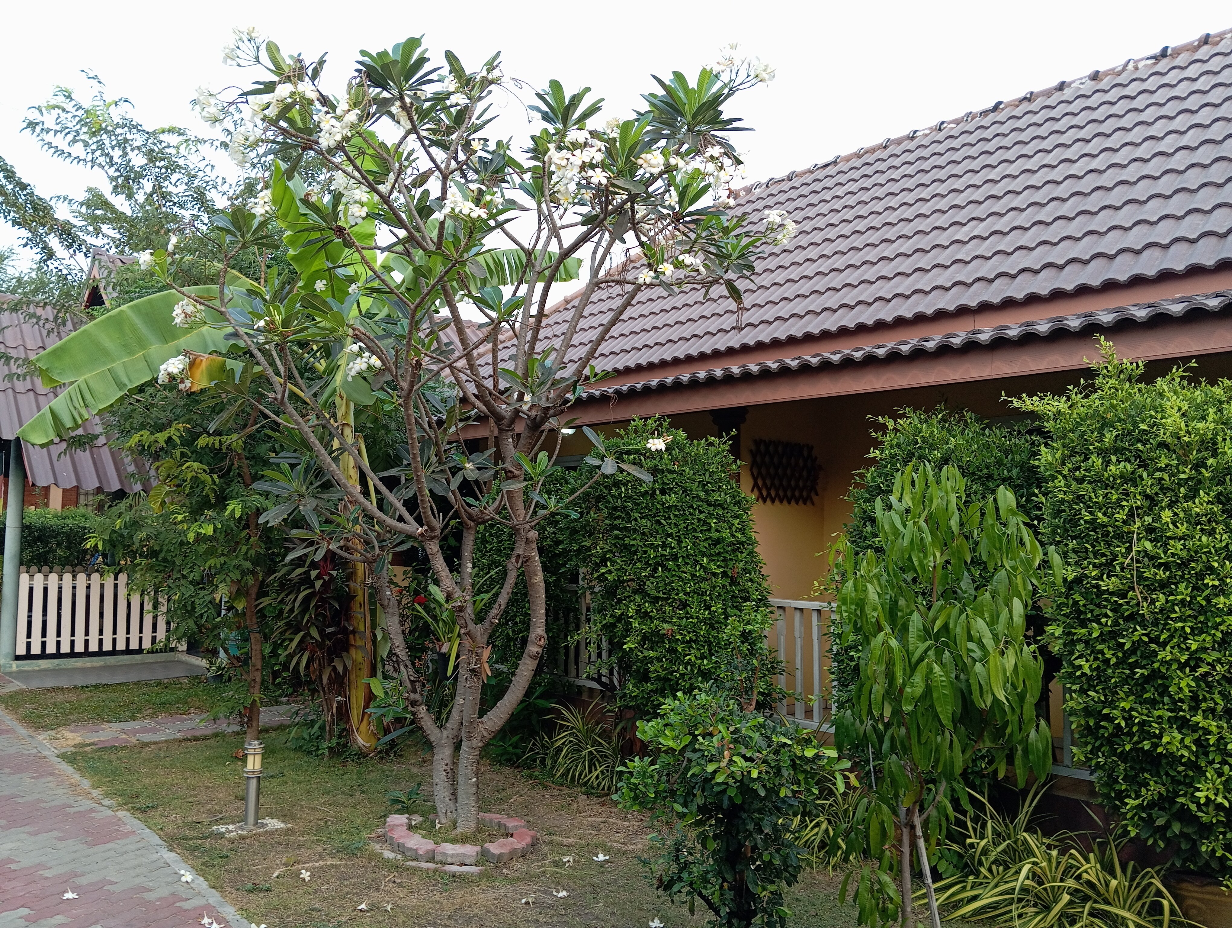 Фото Baan Penny