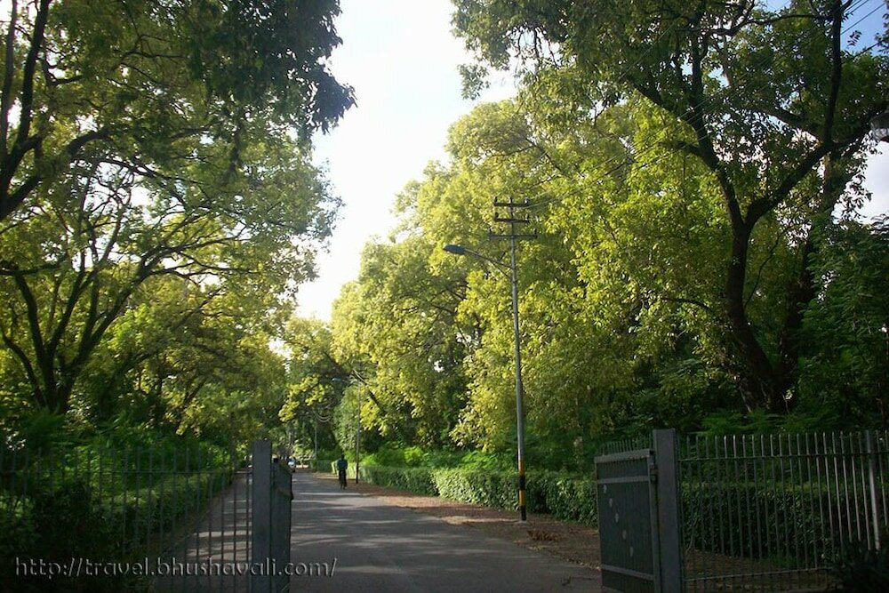 Фото Hotel Royal Saffron