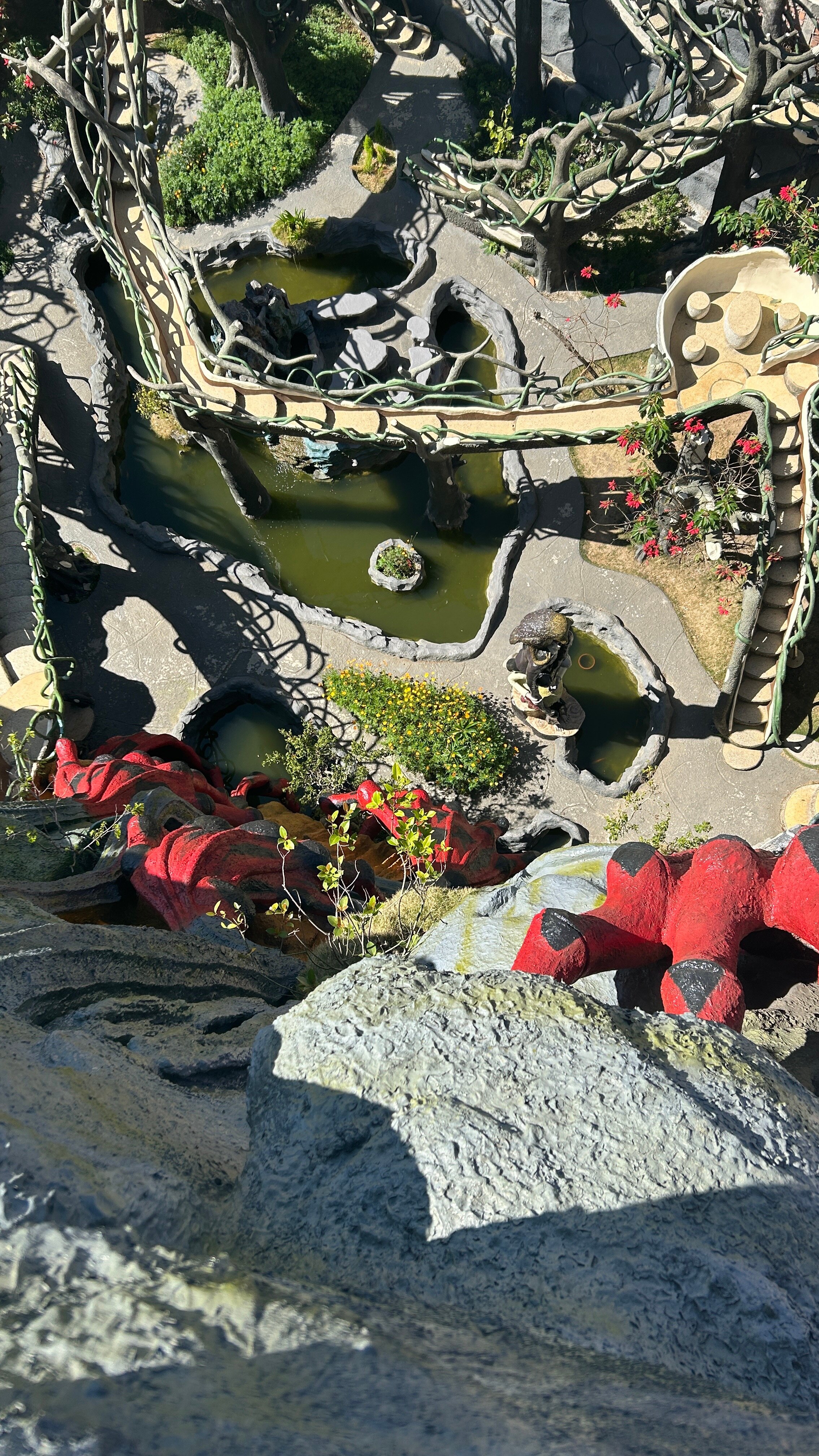 Фото Crazy House