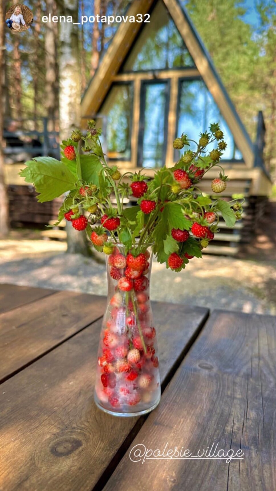 Фото Polesie Village